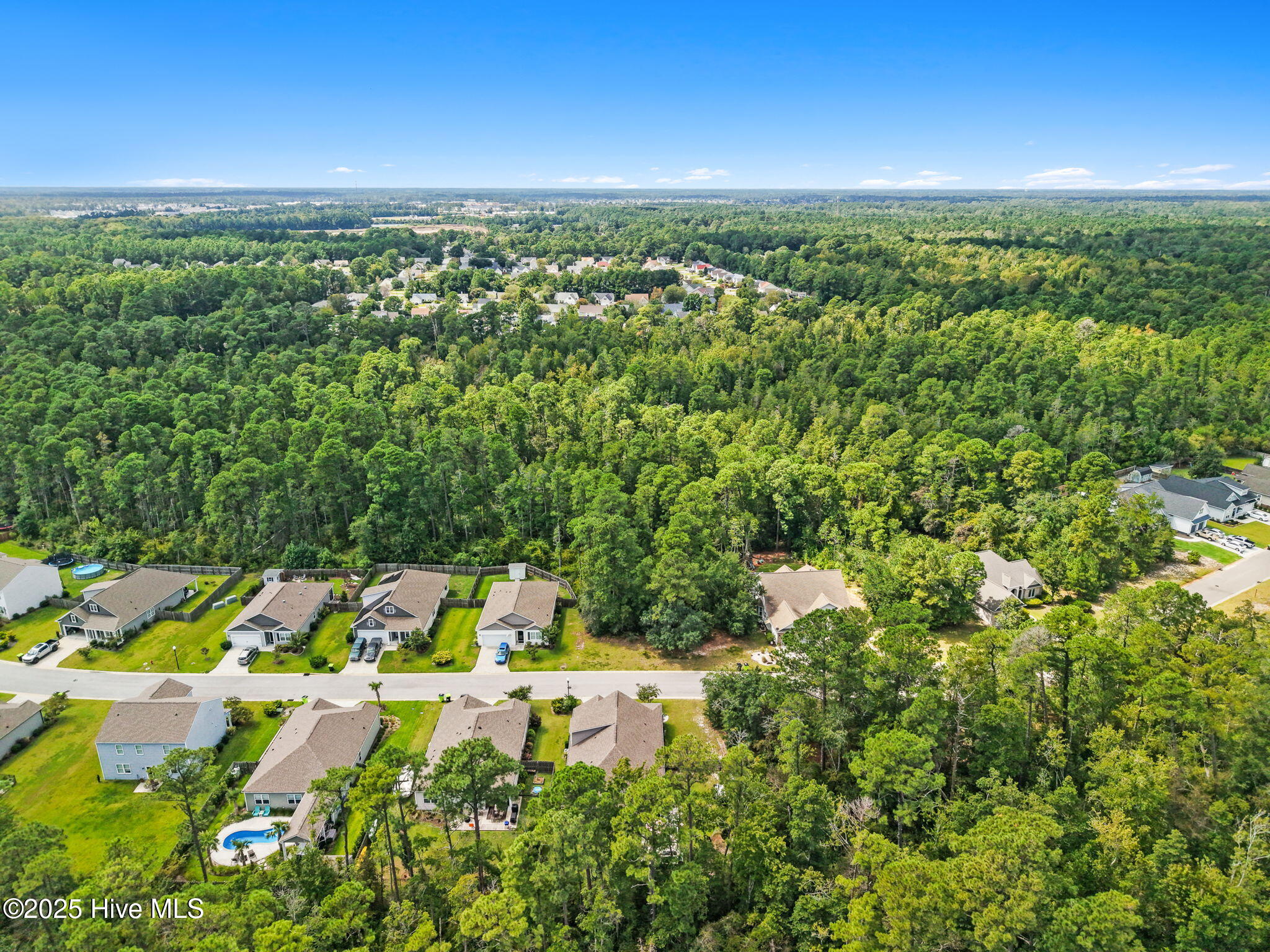 100531628 | Photo 42