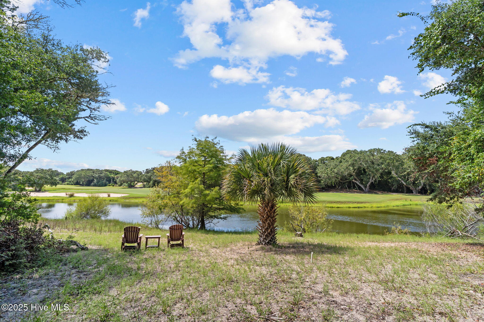 100526734 | Photo 31