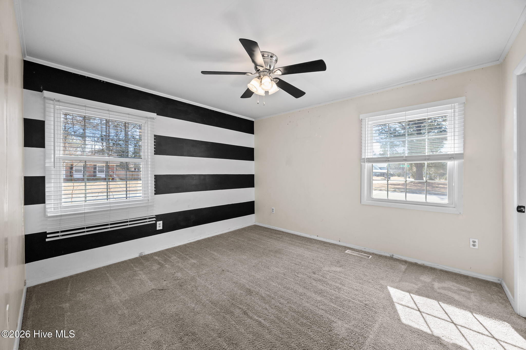 100554228 | Photo 13