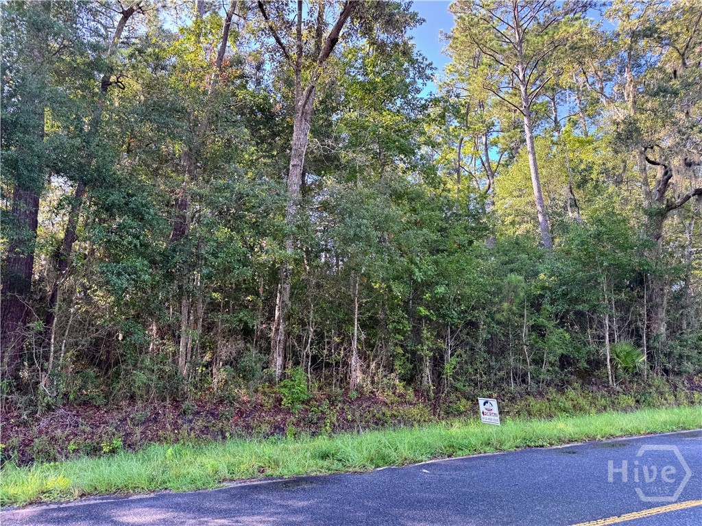 1st image of 0 Cattle Hammock Rd, Midway, GA 31320 | MLS# SA362962