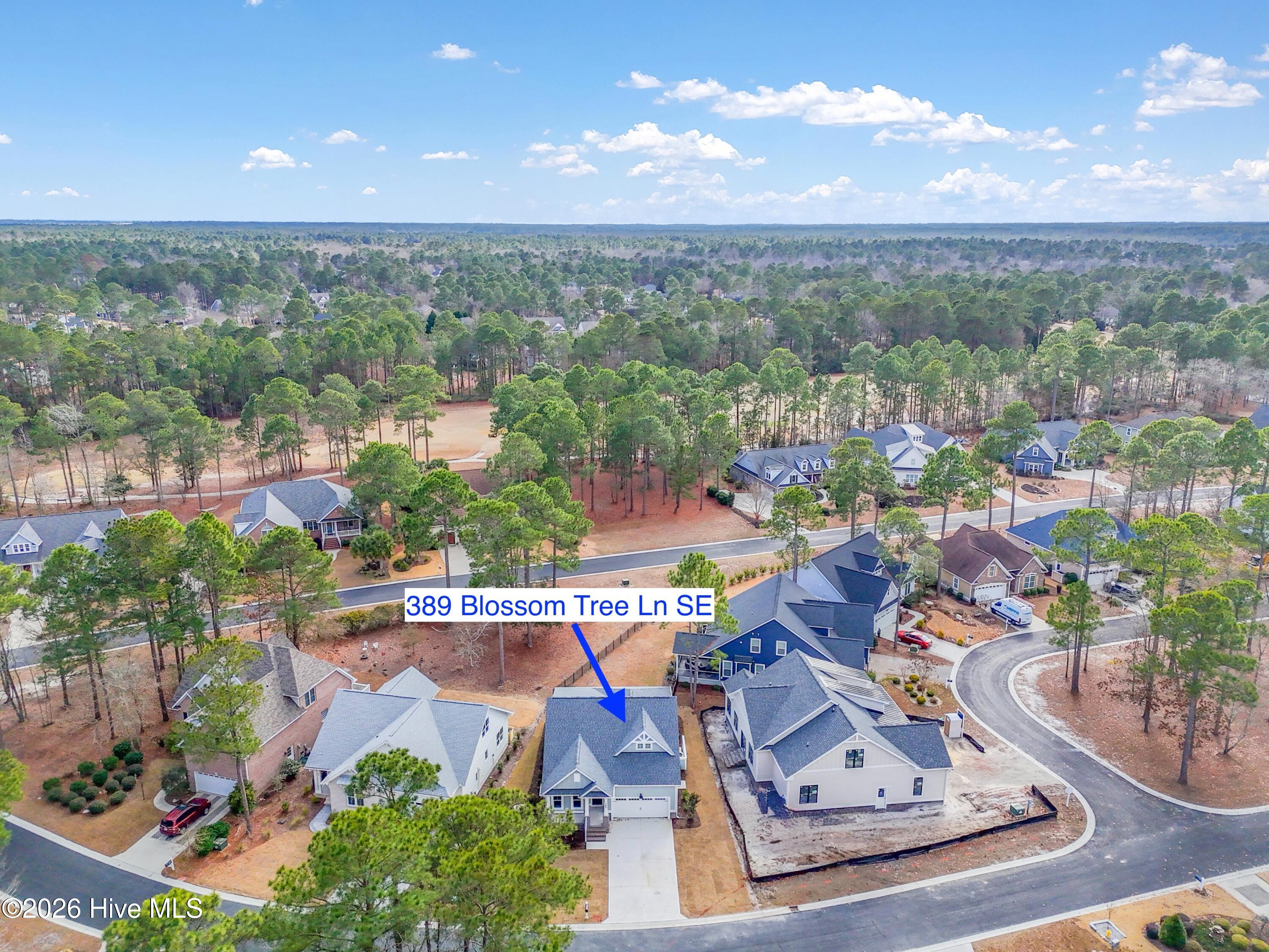 100533287 | Photo 57