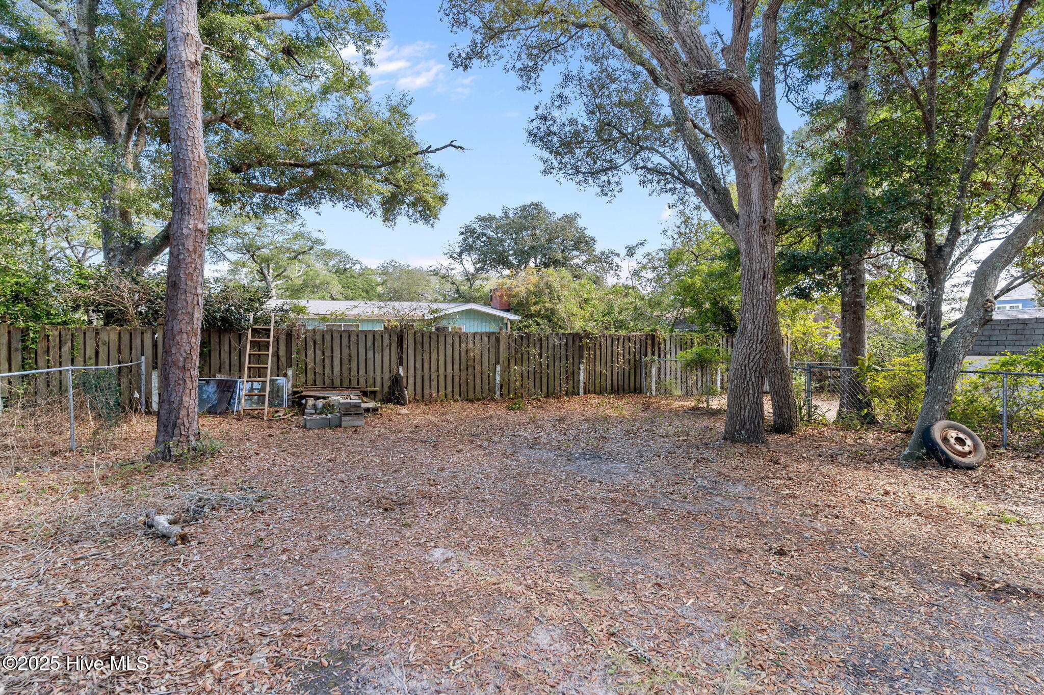 100536302 | Photo 13