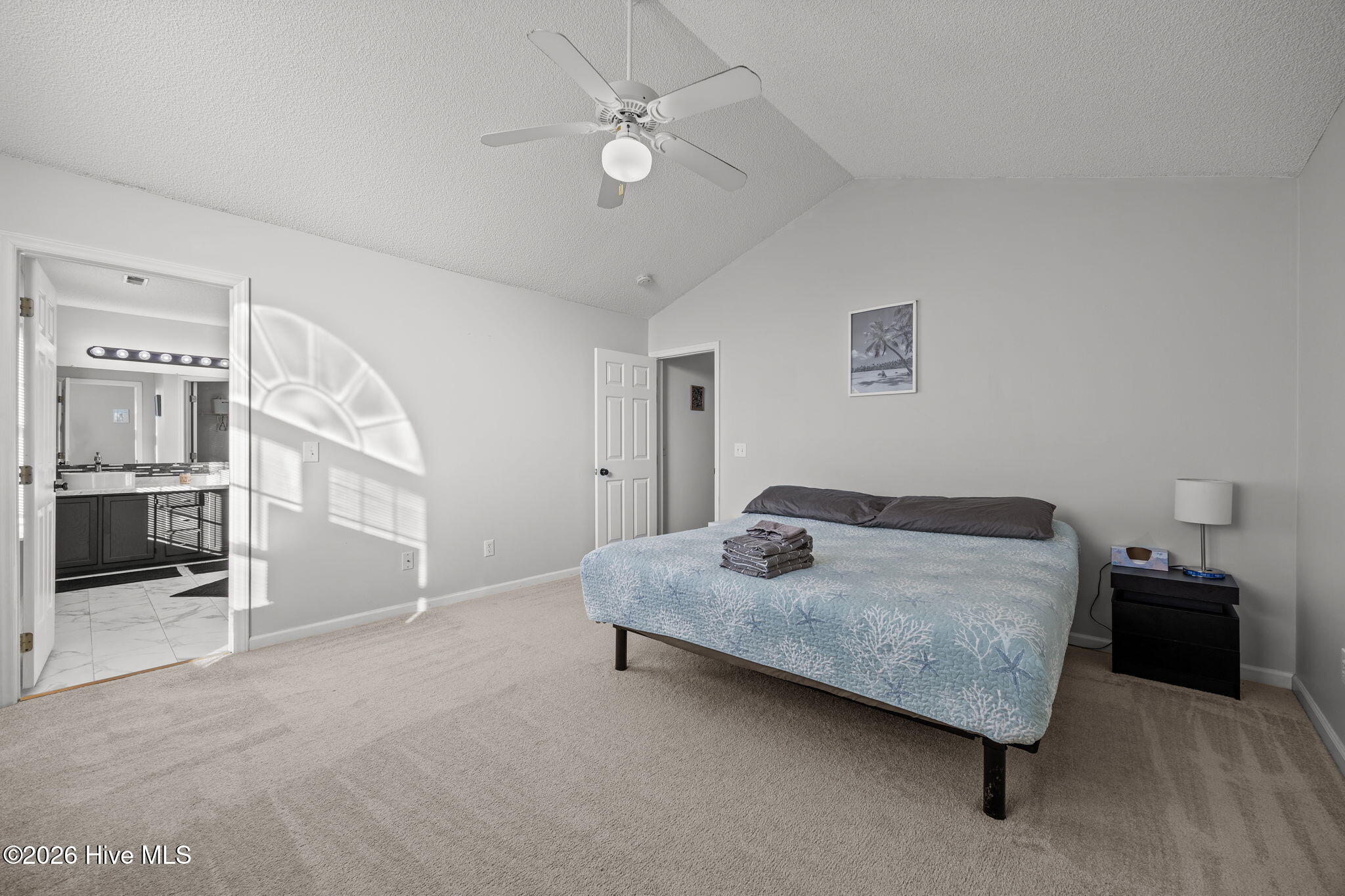 100551976 | Photo 26