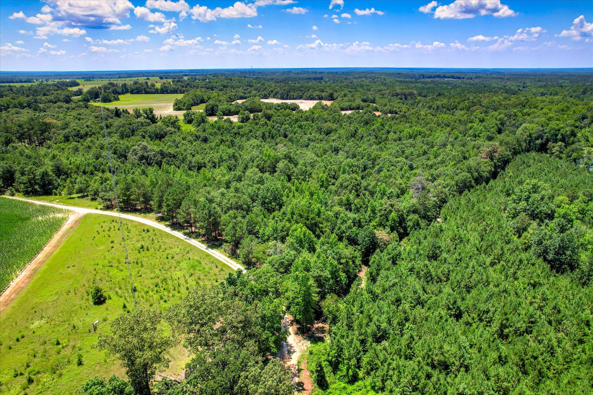 Homes for sale in Girard, GA | 0 Smith Chapel Rd, Girard, GA 30426 | MLS# 543848