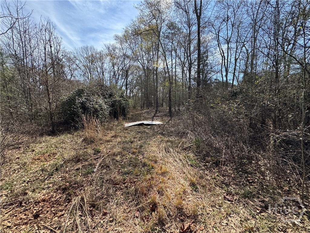 738 Old Mineral Springs Road, Elberton, GA, 30635