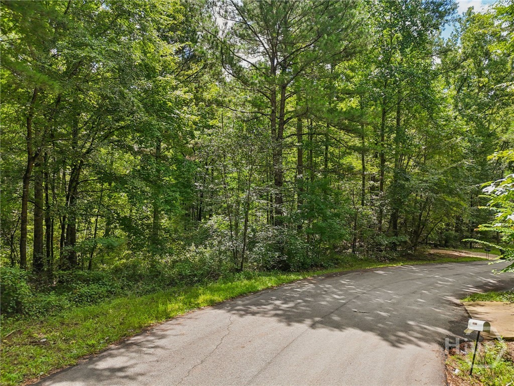 Homes for sale in Greensboro, GA | 1040 Union Station Rd, Greensboro, GA 30642 | MLS# CL336680