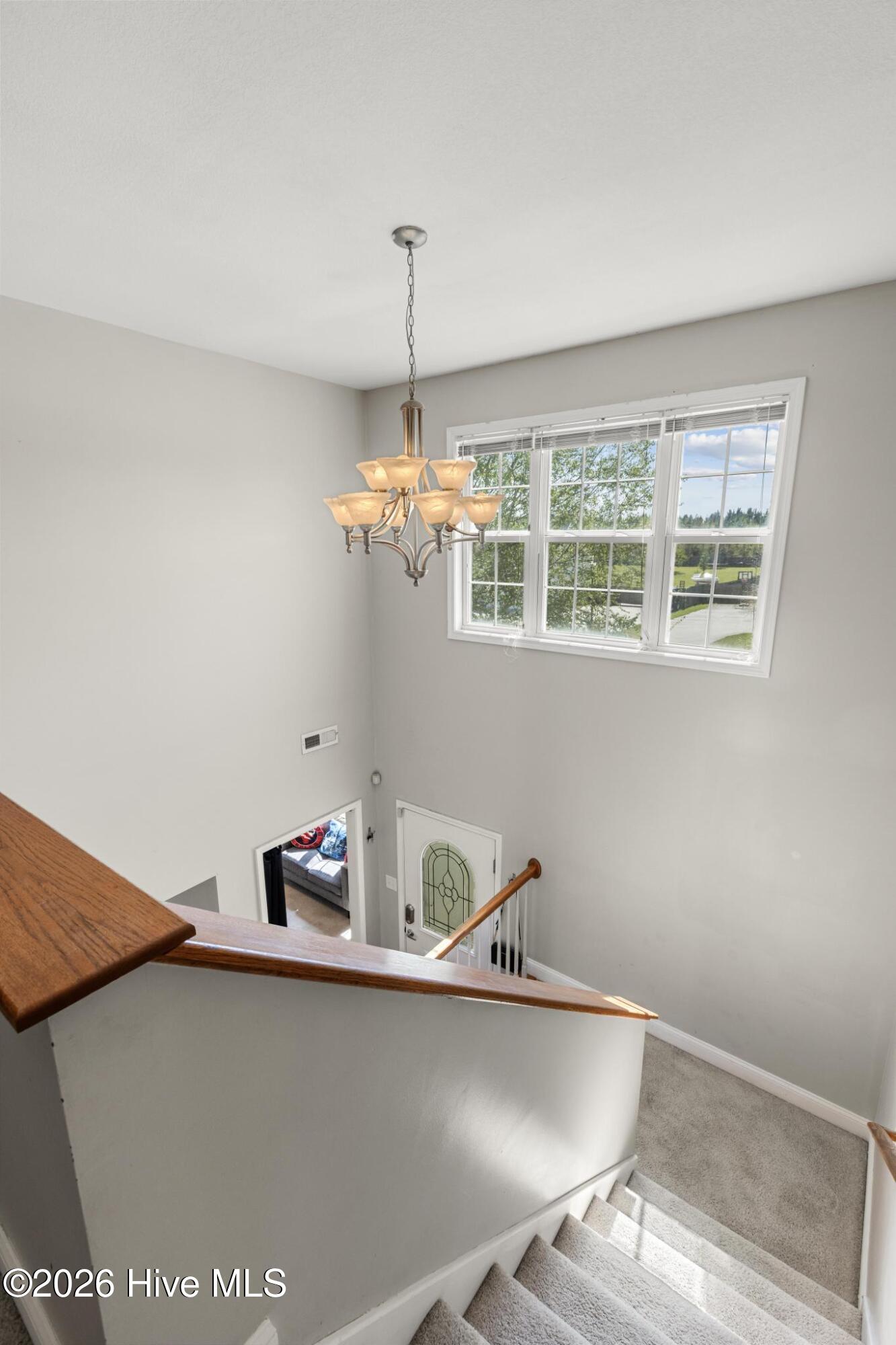 100566886 | Photo 19