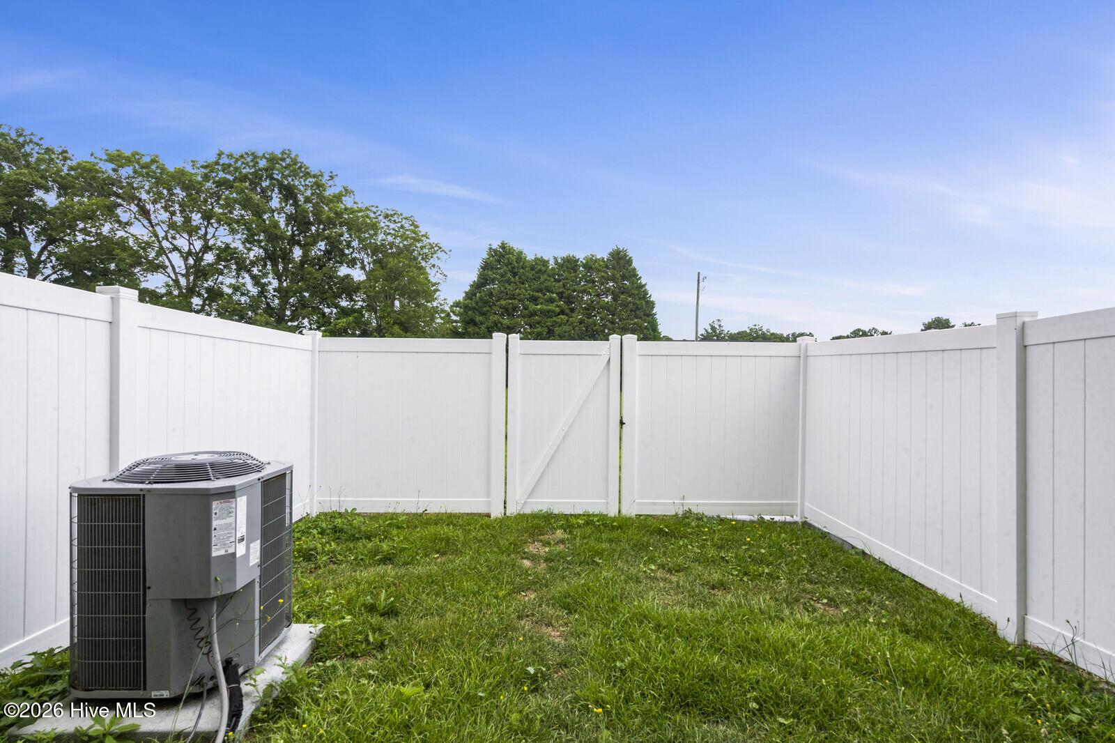 100562999 | Photo 16