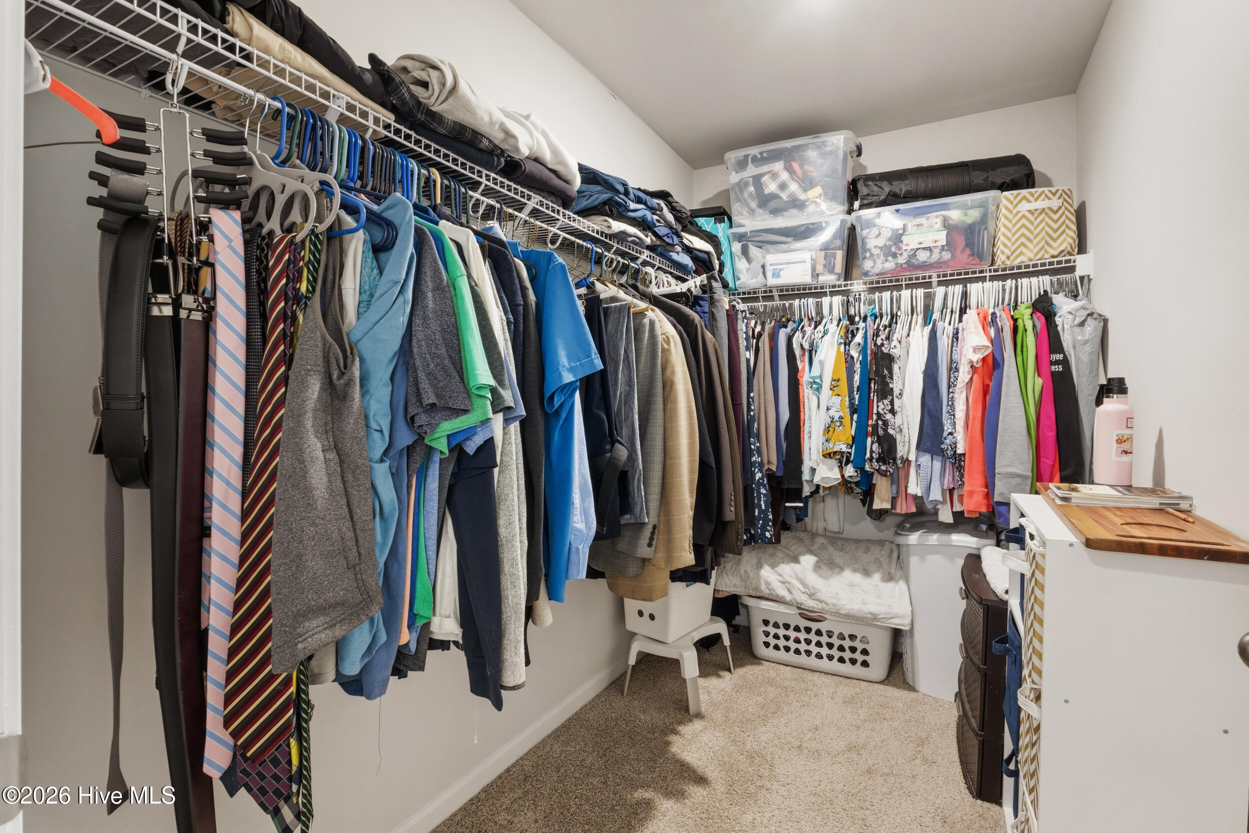 100558128 | Photo 23