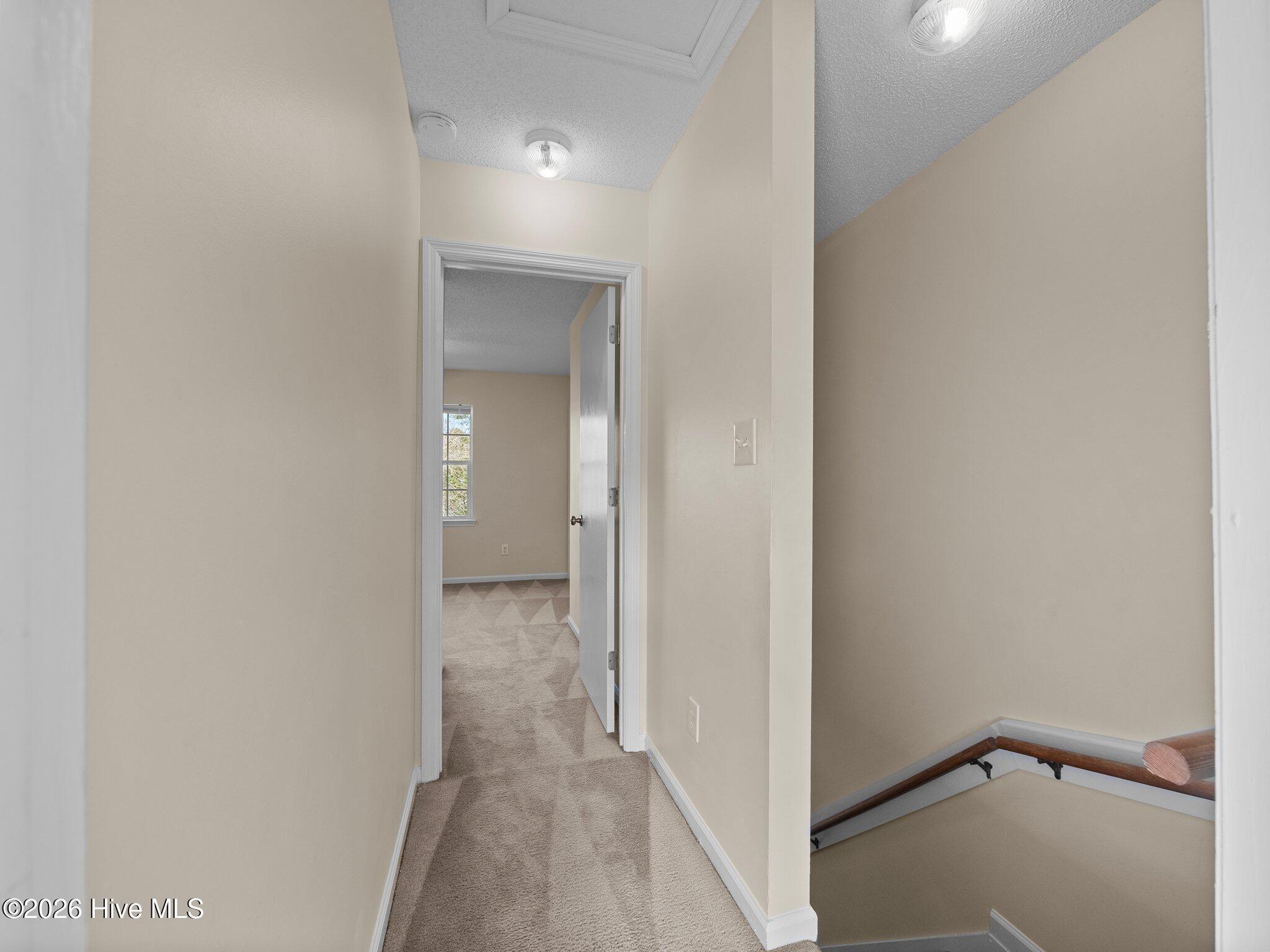 100559229 | Photo 26