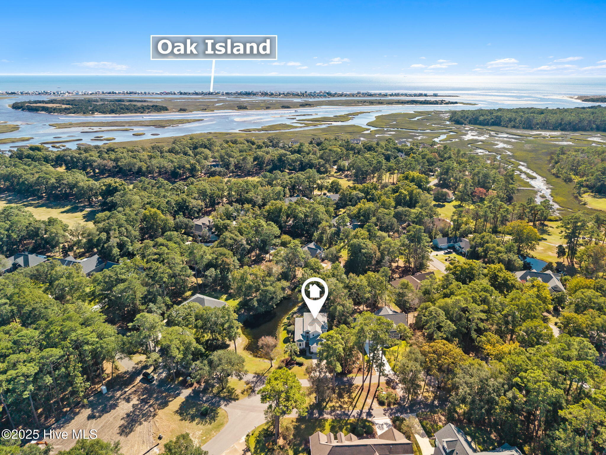 100537506 | Photo 62