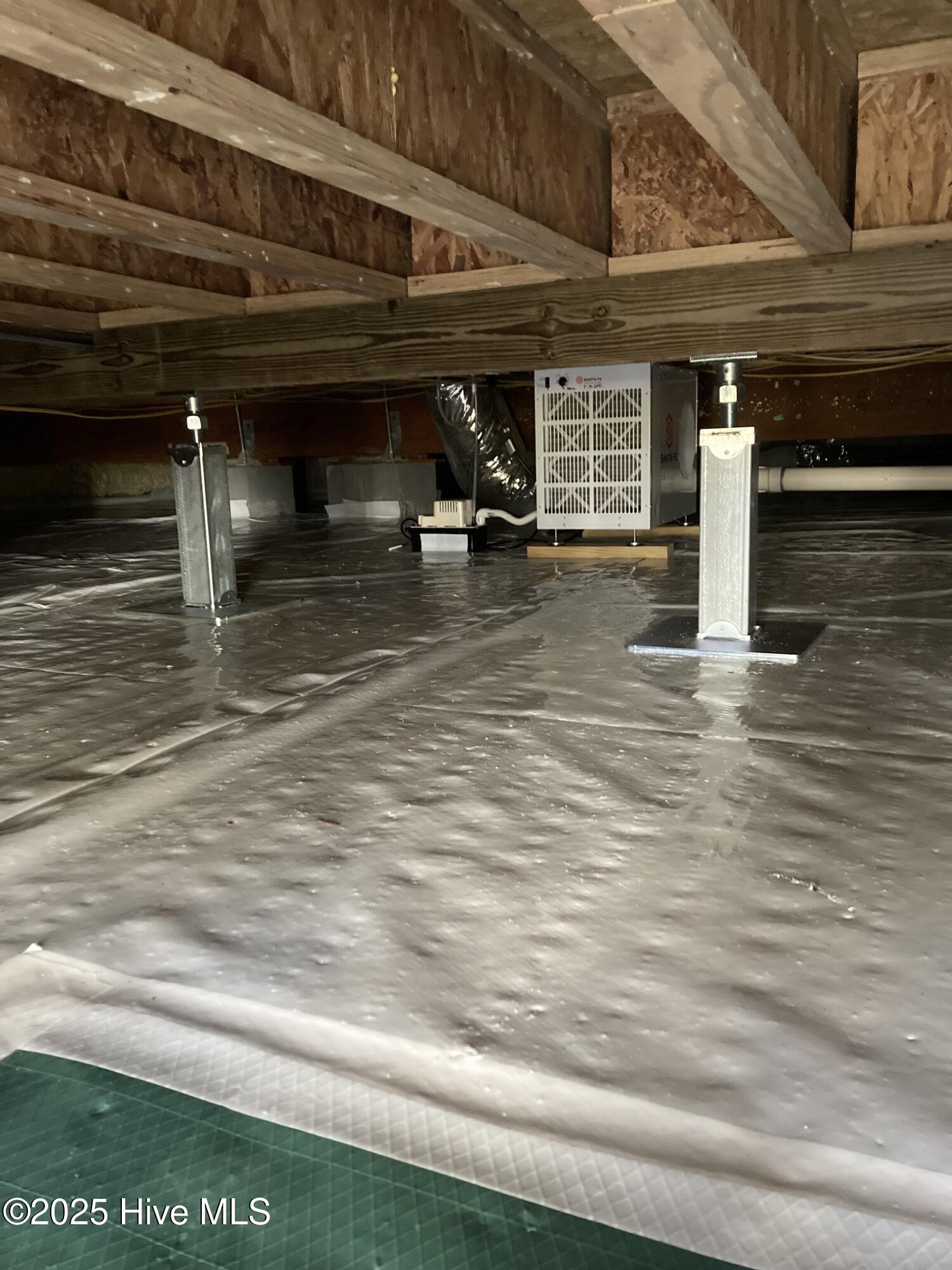 100539518 | Photo 43