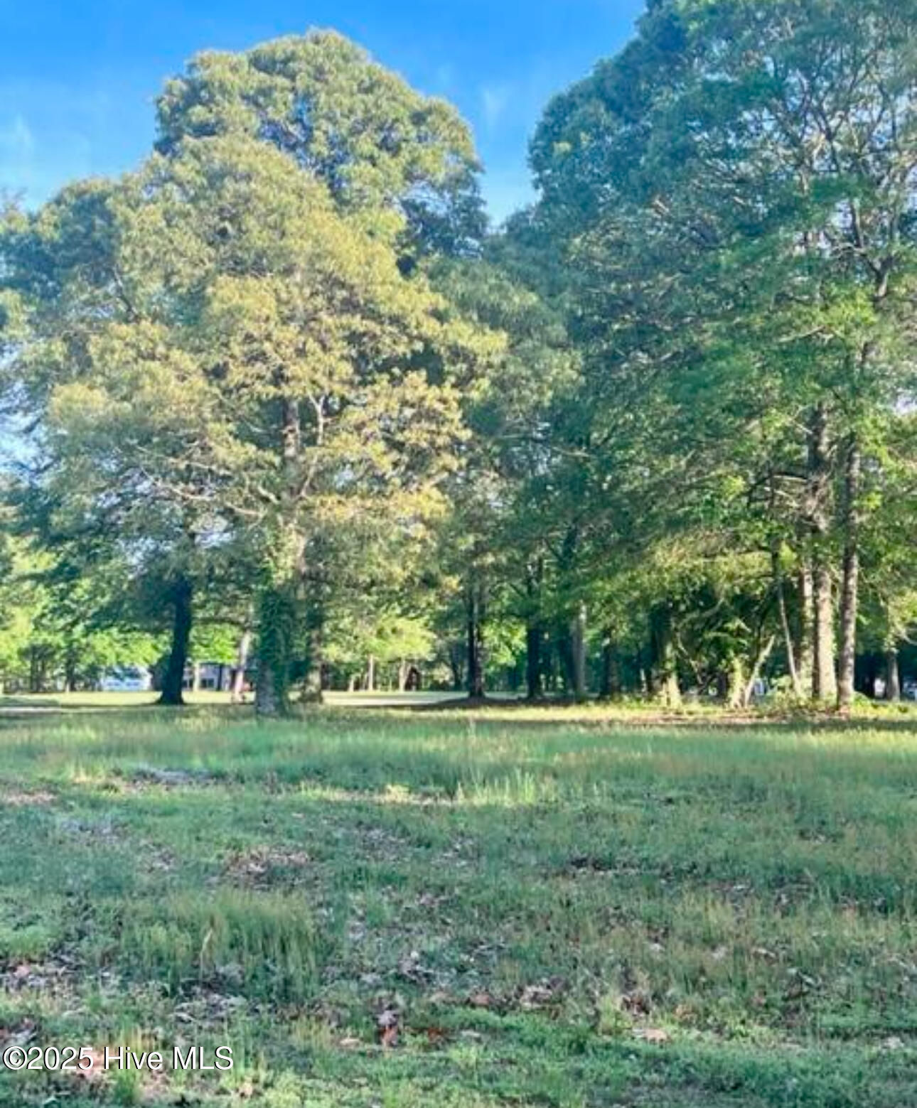 112 Lake Wood Drive, Edenton, NC, 27932