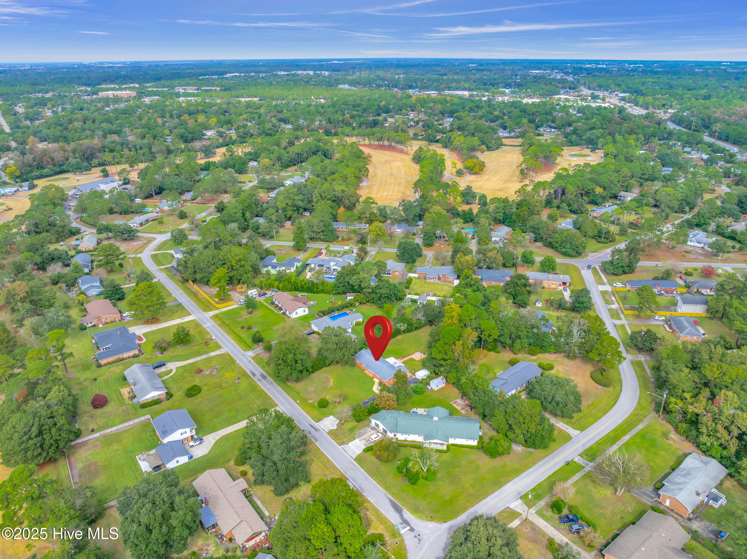 100538993 | Photo 39