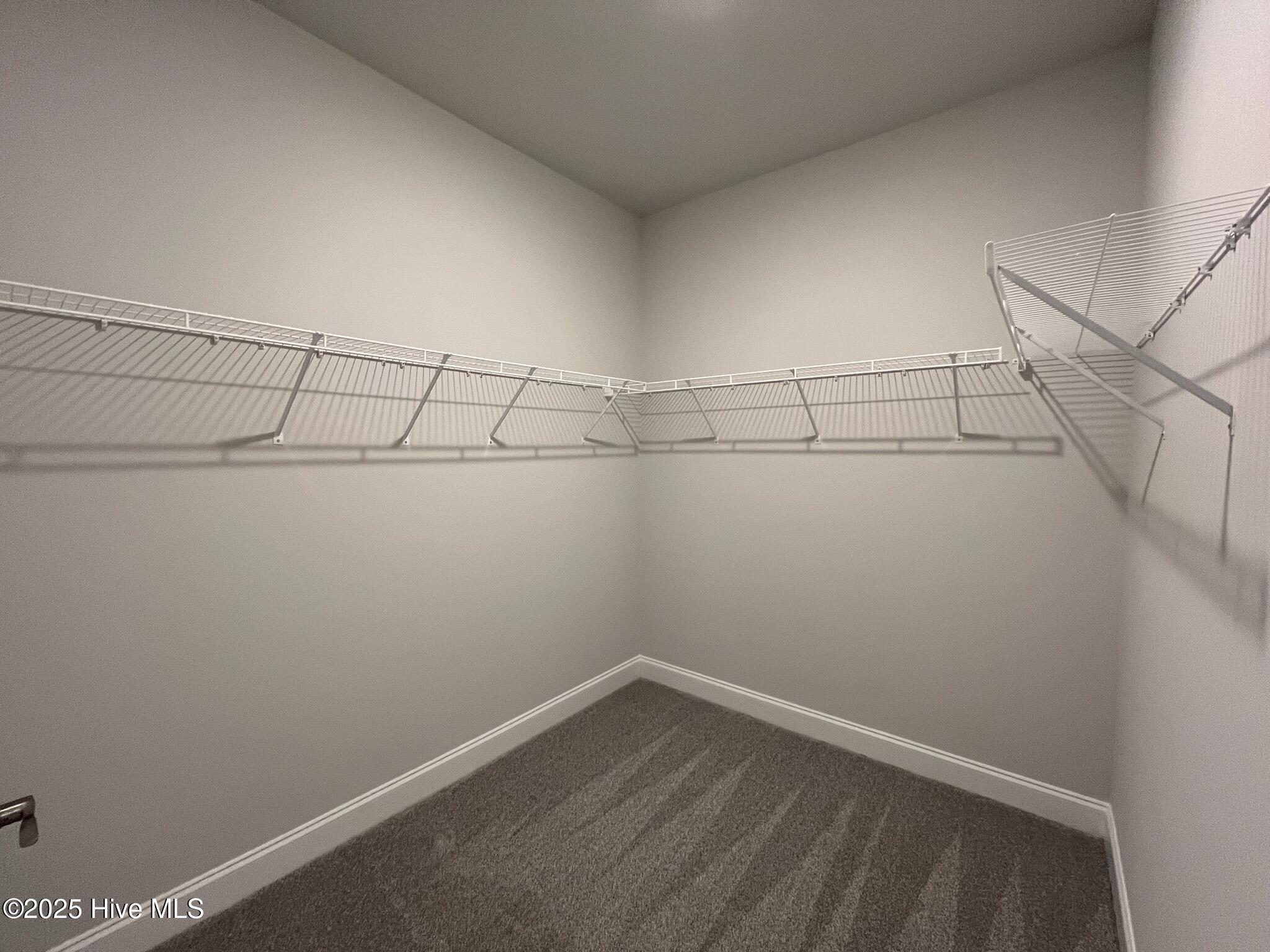 100428148 | Photo 29