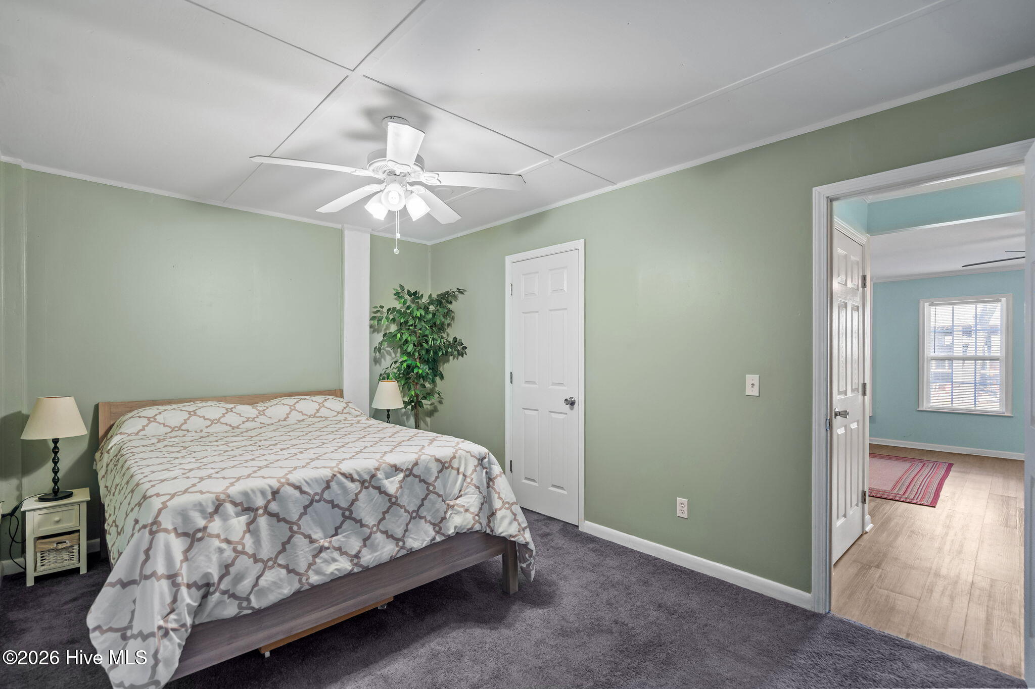 100555405 | Photo 58