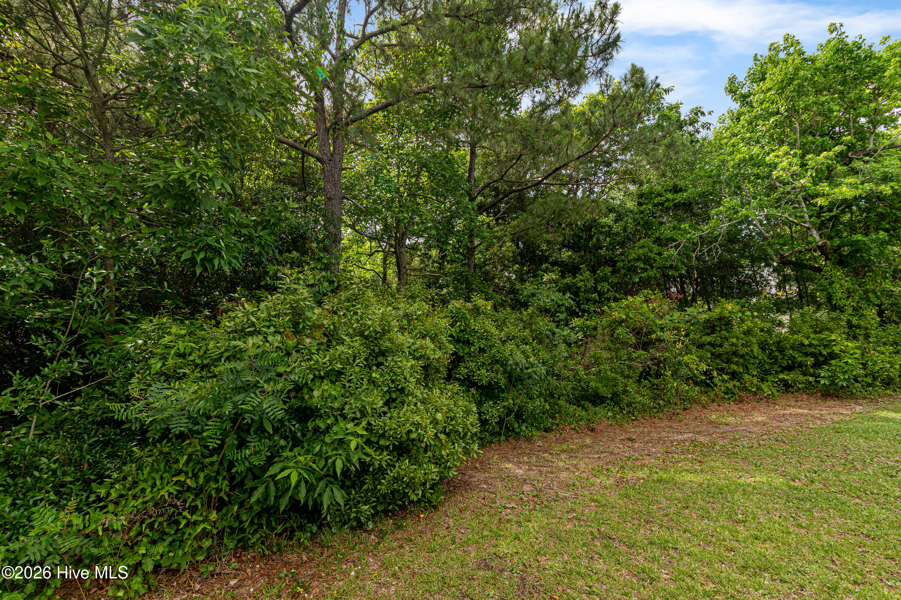 109 Juniper 