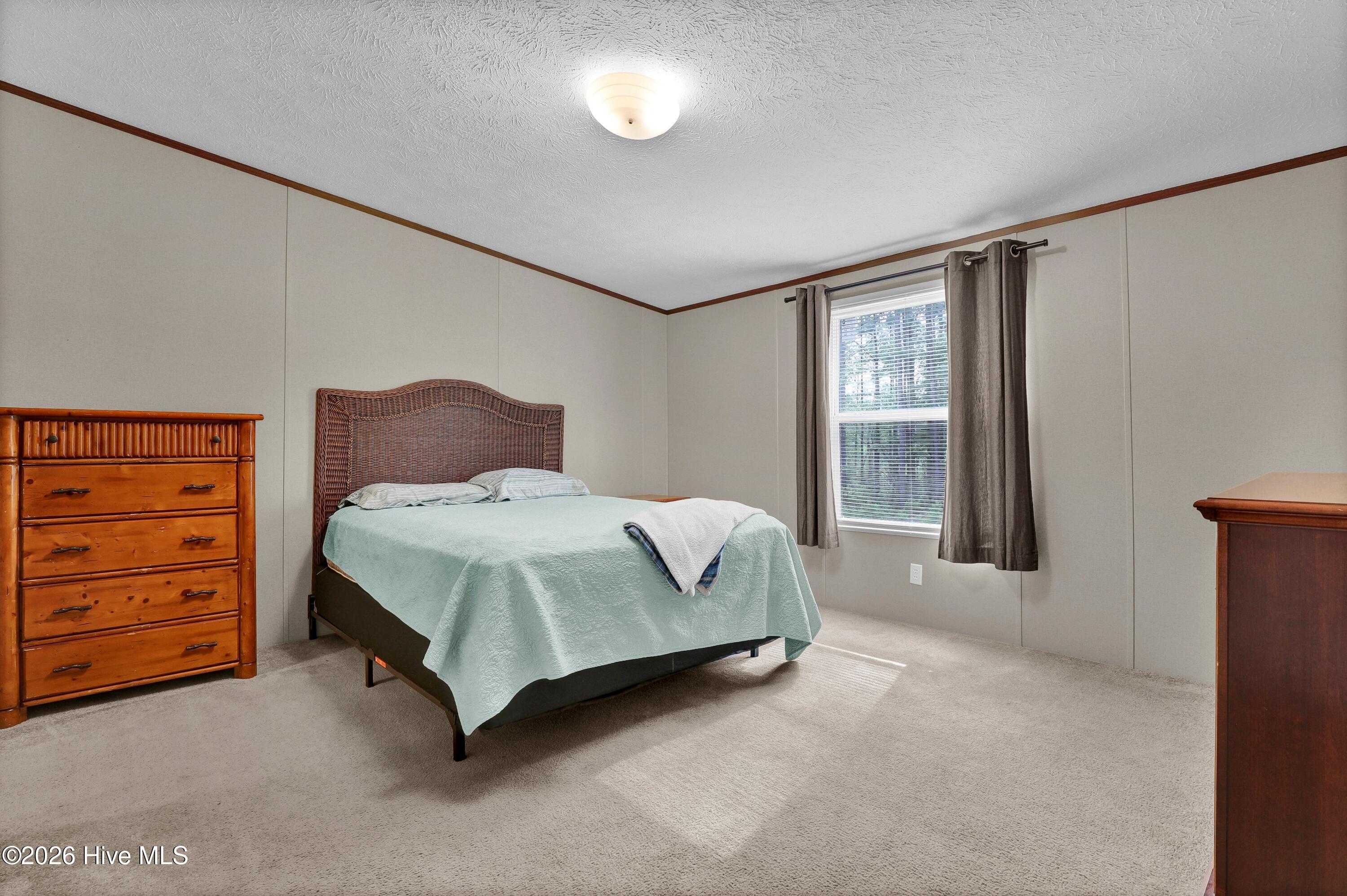 100570653 | Photo 12