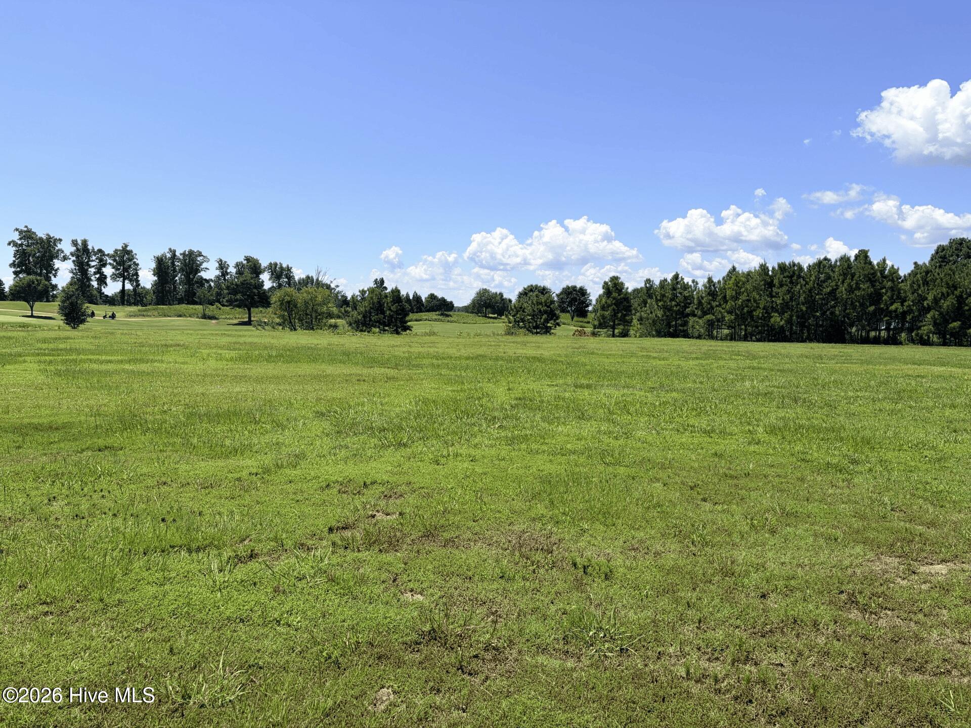 132 Royal, Merry Hill, North Carolina, 0 ,Residential Lot,For sale,Royal,100598301 132 Royal, Merry Hill, North Carolina, 0 ,Residential Lot,For sale,Royal,100598301