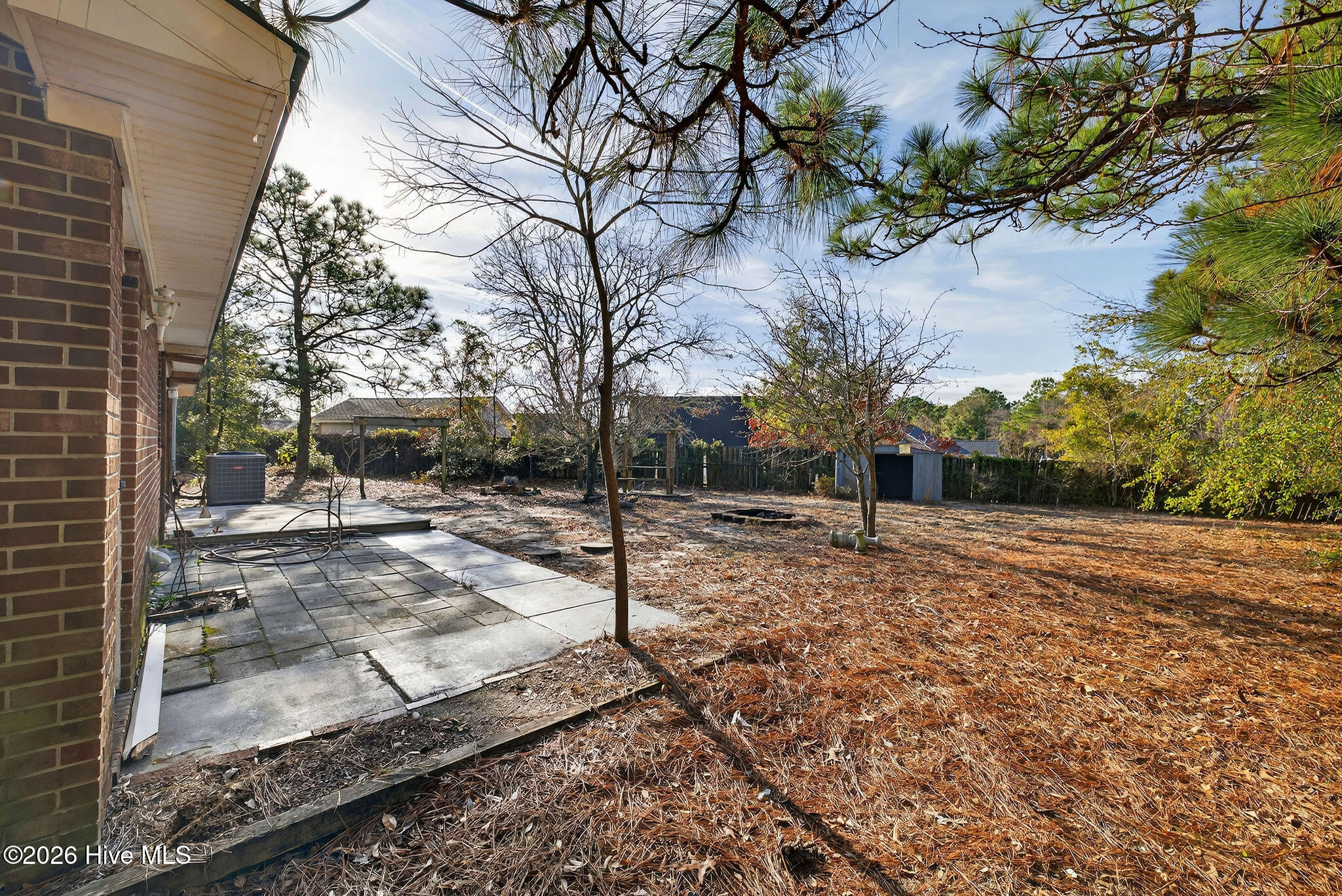 100547847 | Photo 33