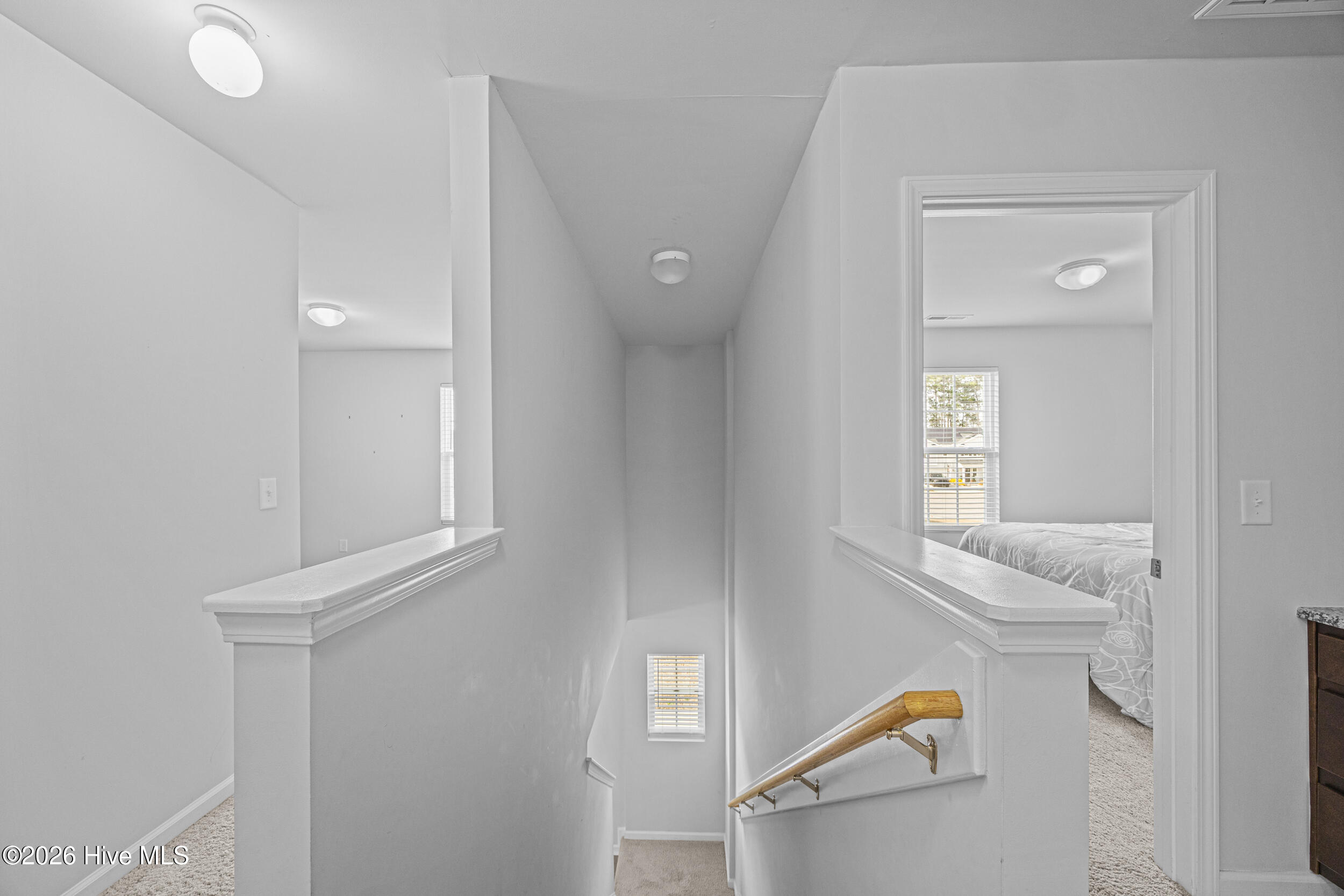 100557017 | Photo 35