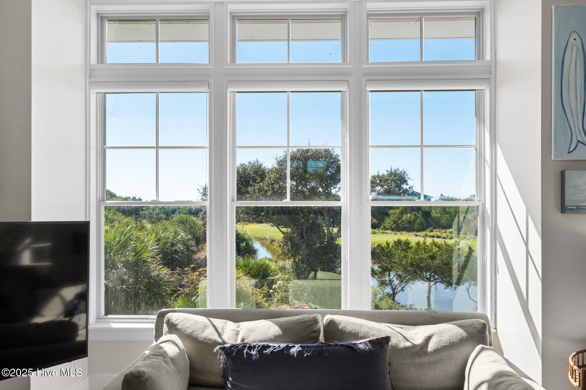 100540295 | Photo 14