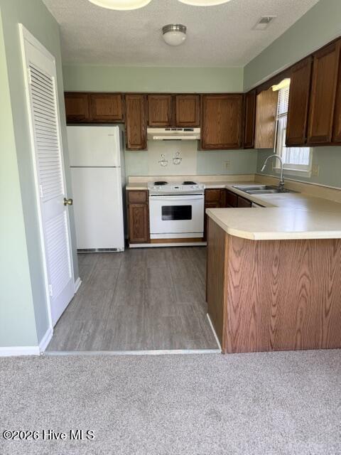 2218 Bridle Trail,Midway Park