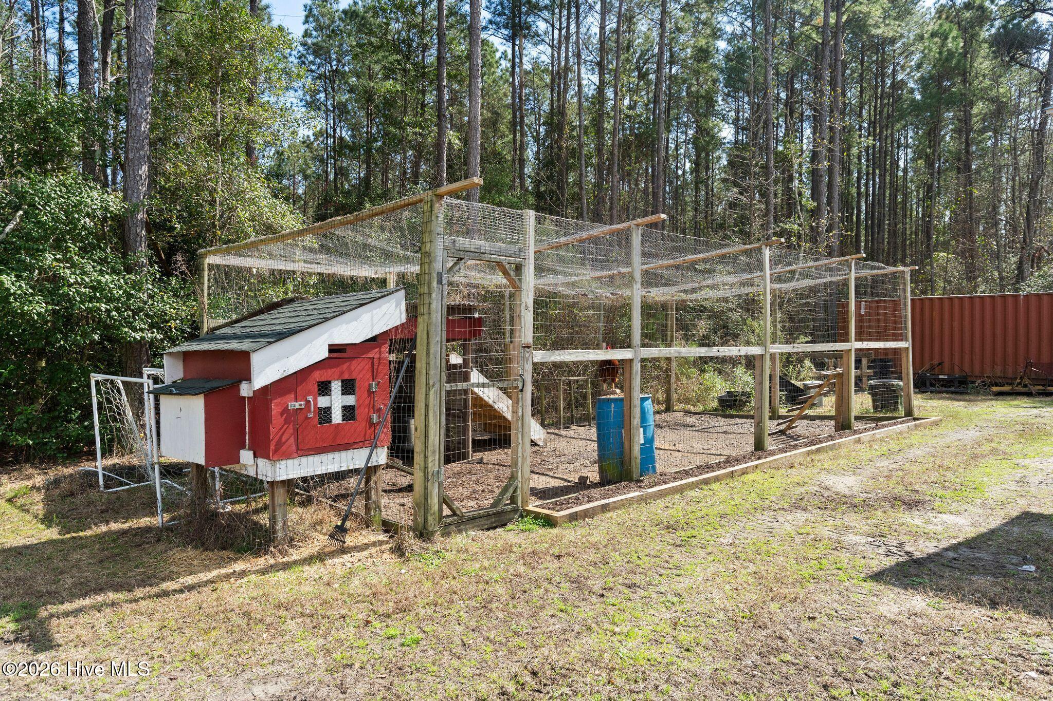 100559666 | Photo 99