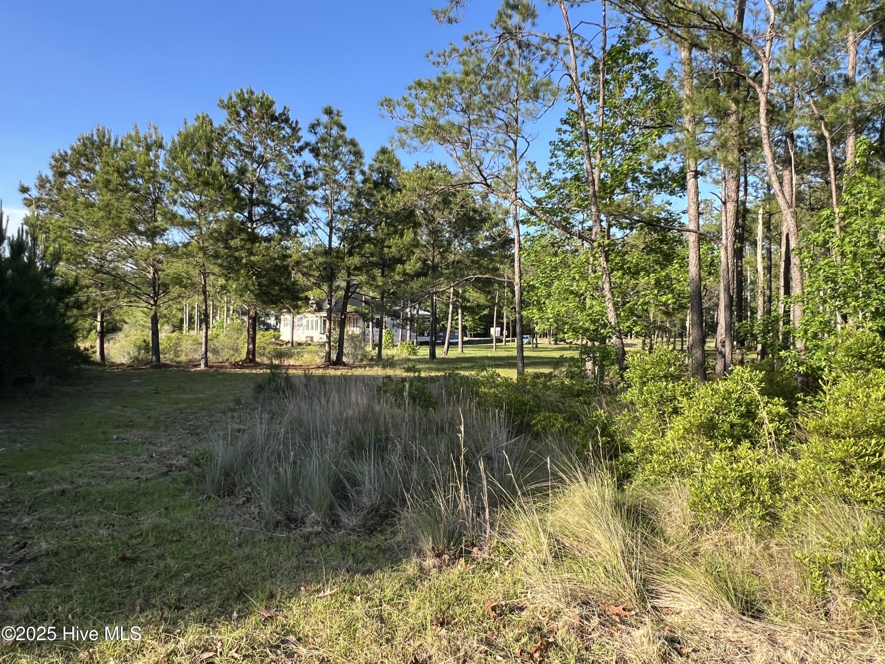 100509687 | Photo 50