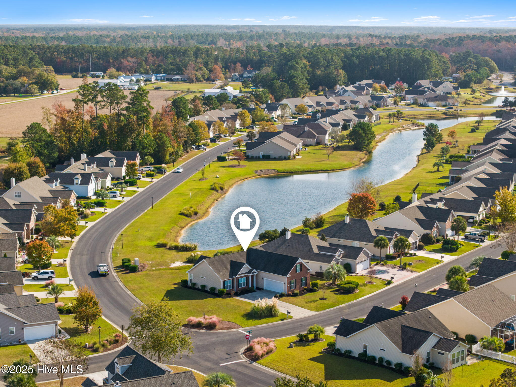 100540486 | Photo 52