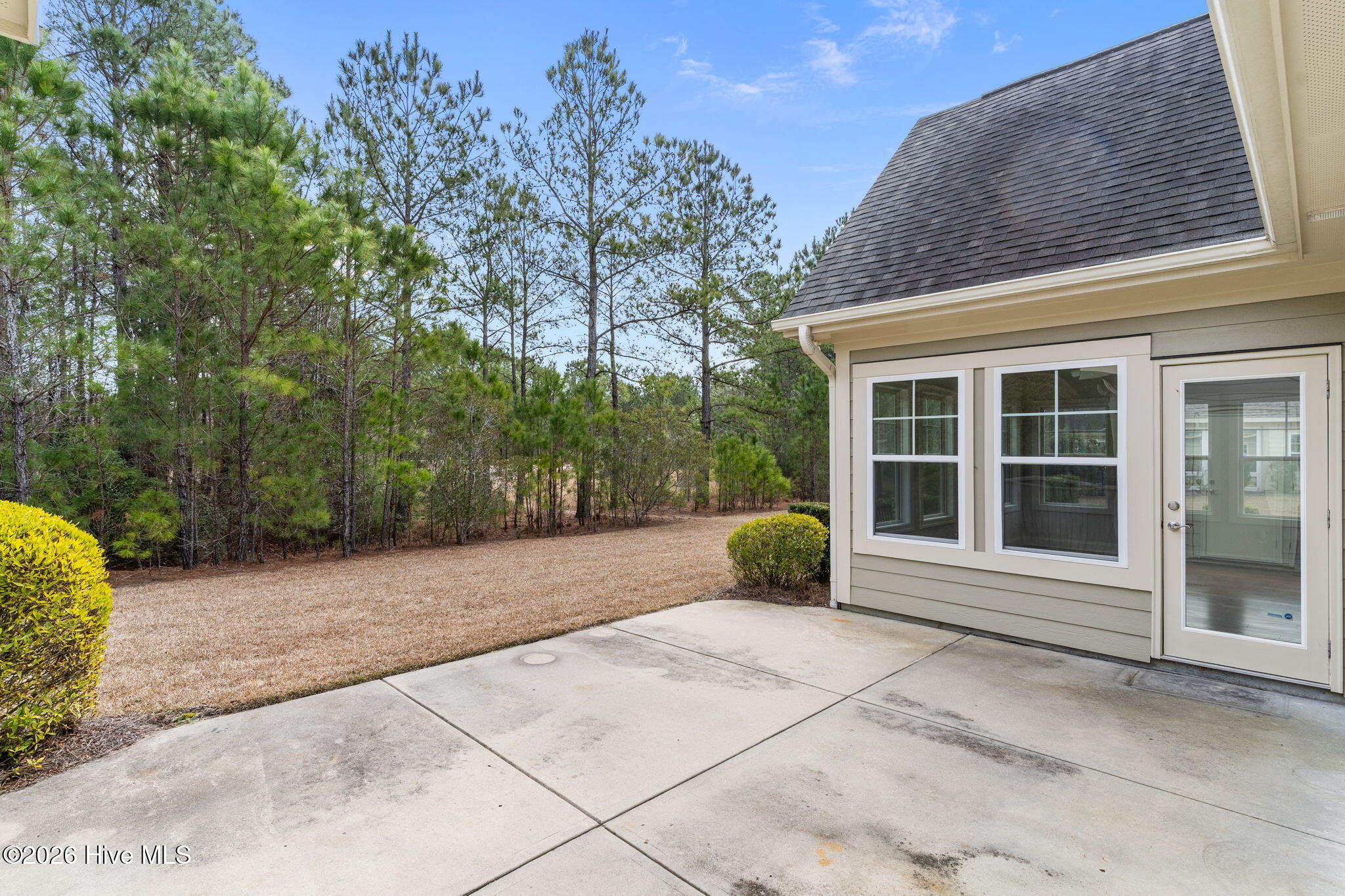 100558174 | Photo 32