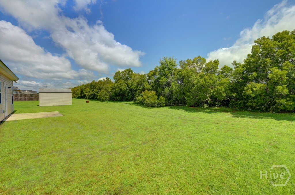 20 Evergreen Oak Drive, Richmond Hill, GA, 31324