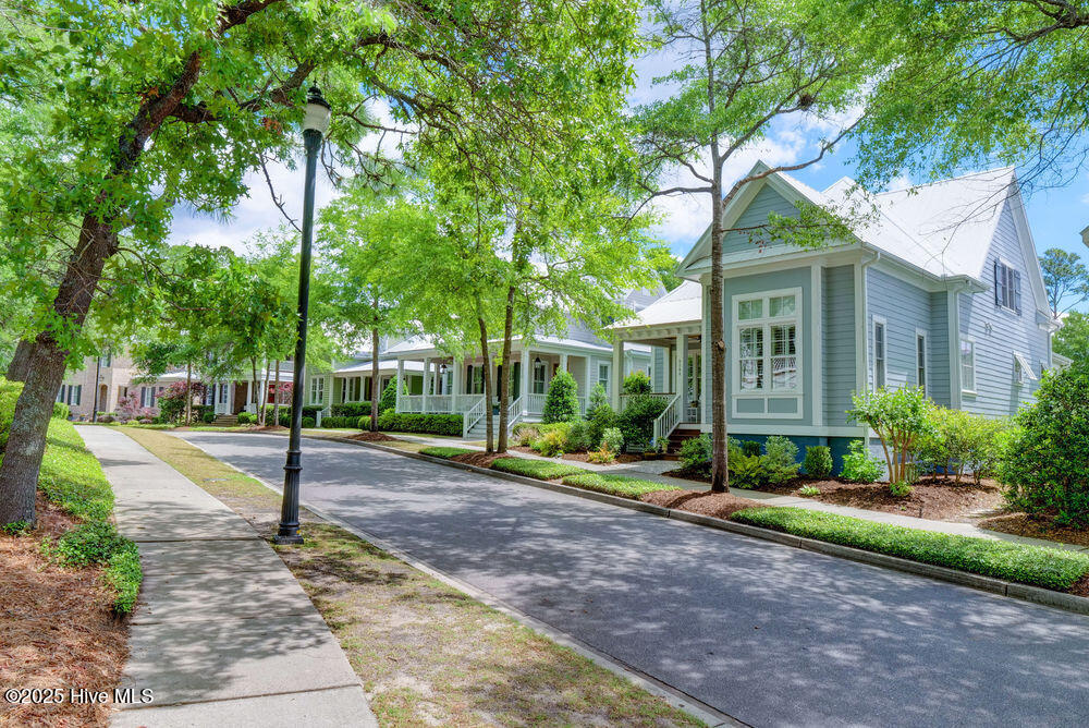 100505829 | Photo 30