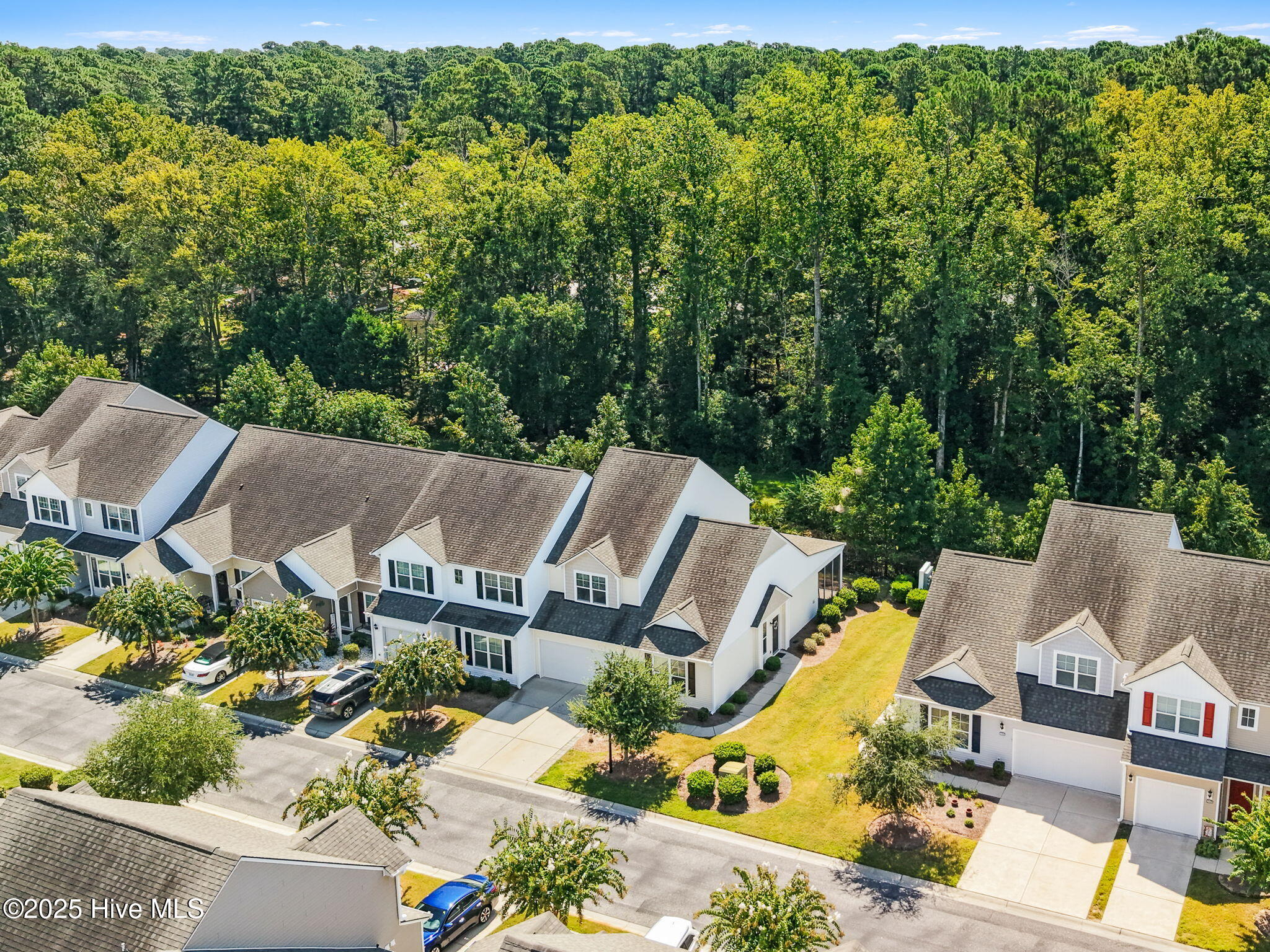 100529406 | Photo 52