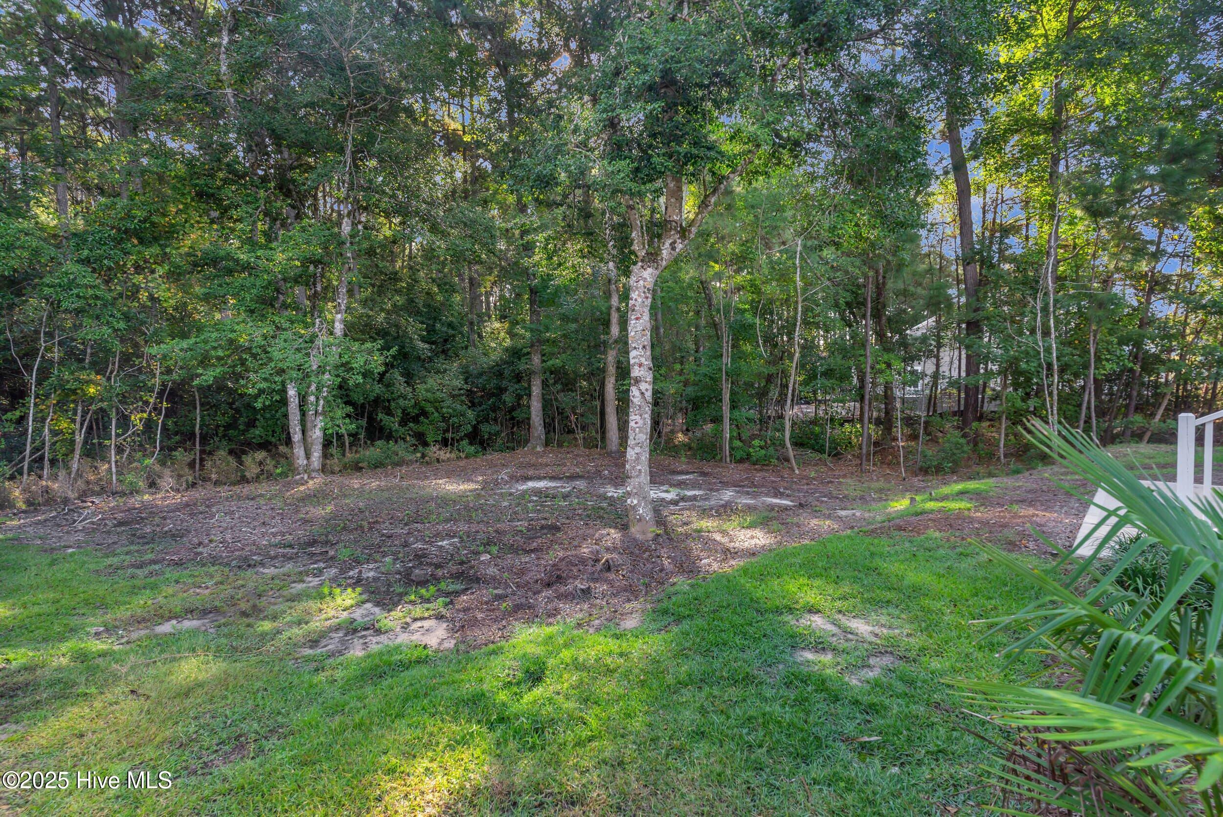 100535117 | Photo 49