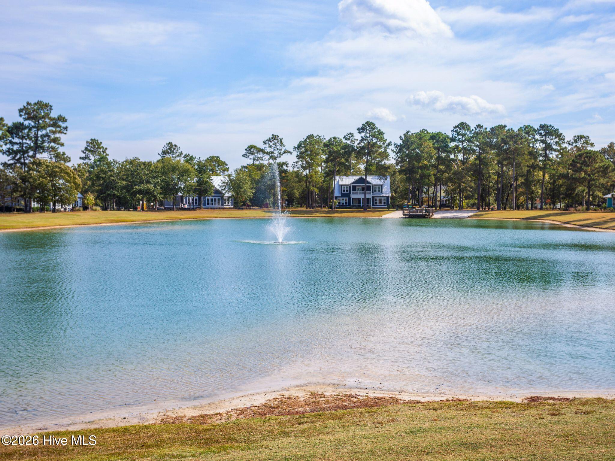 100569004 | Photo 111