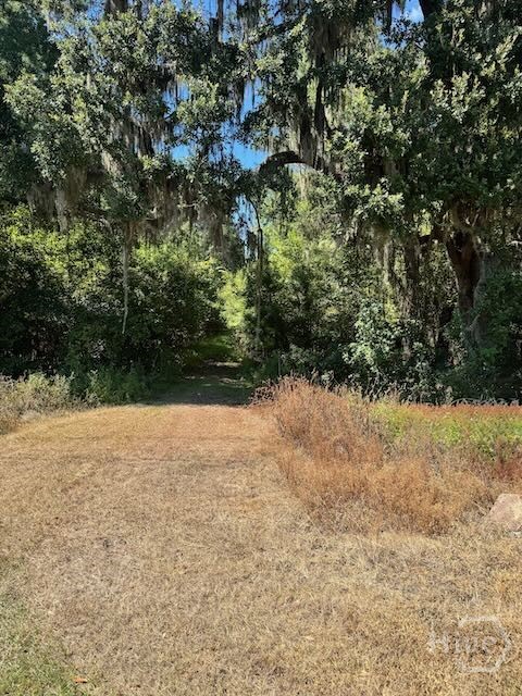 0 Hwy 17 S, Richmond Hill, GA, 31324