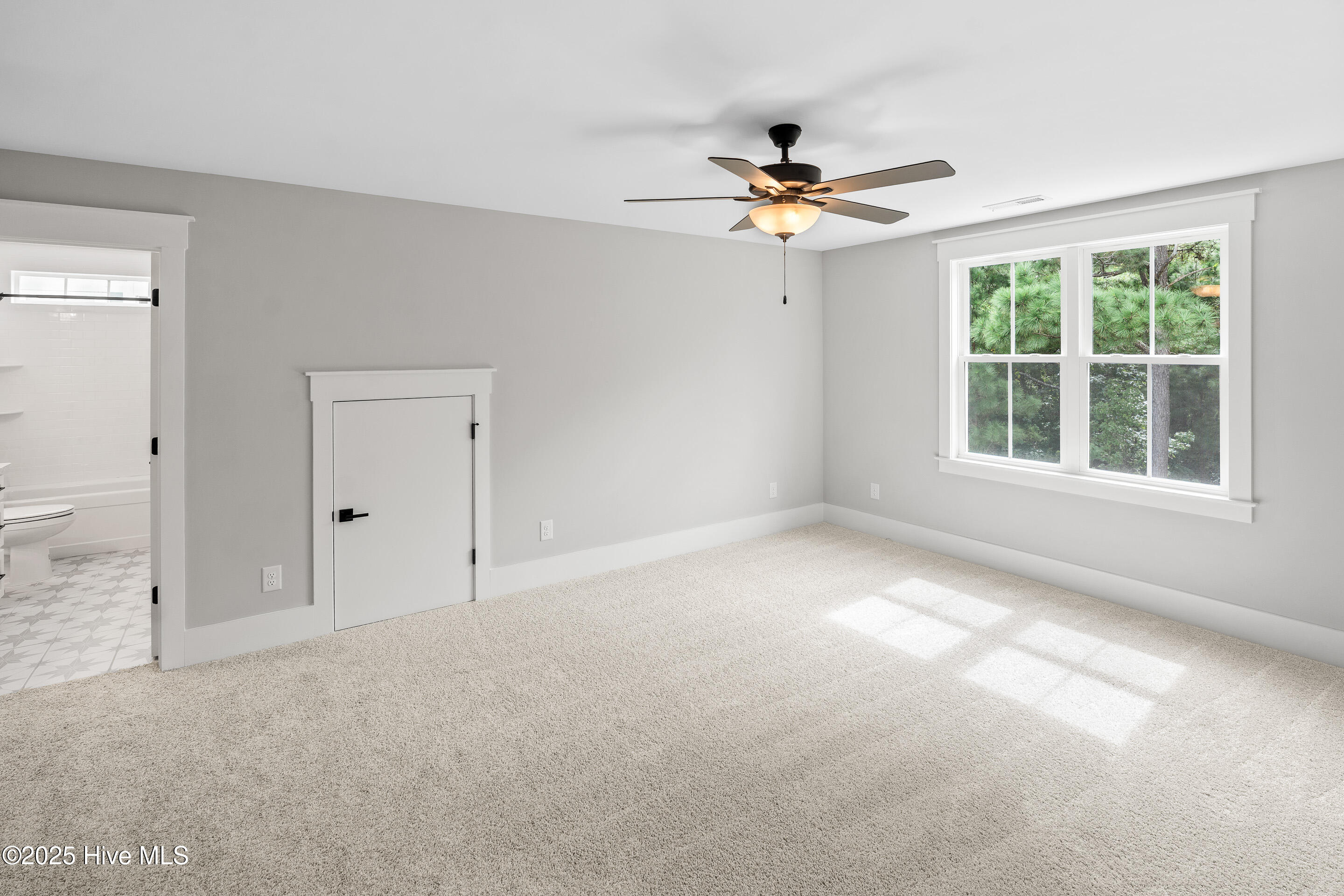 100517420 | Photo 31