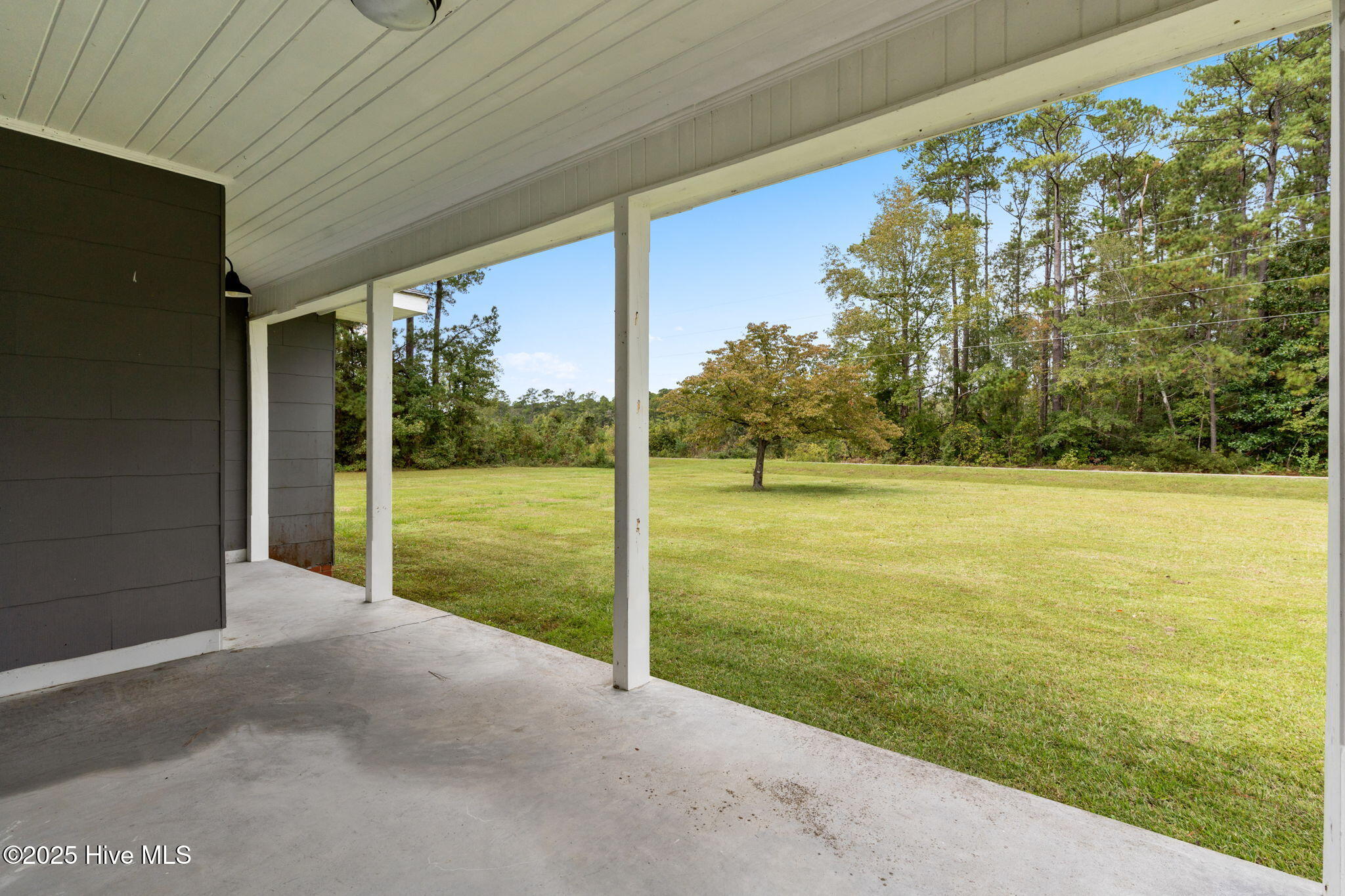 100536505 | Photo 30