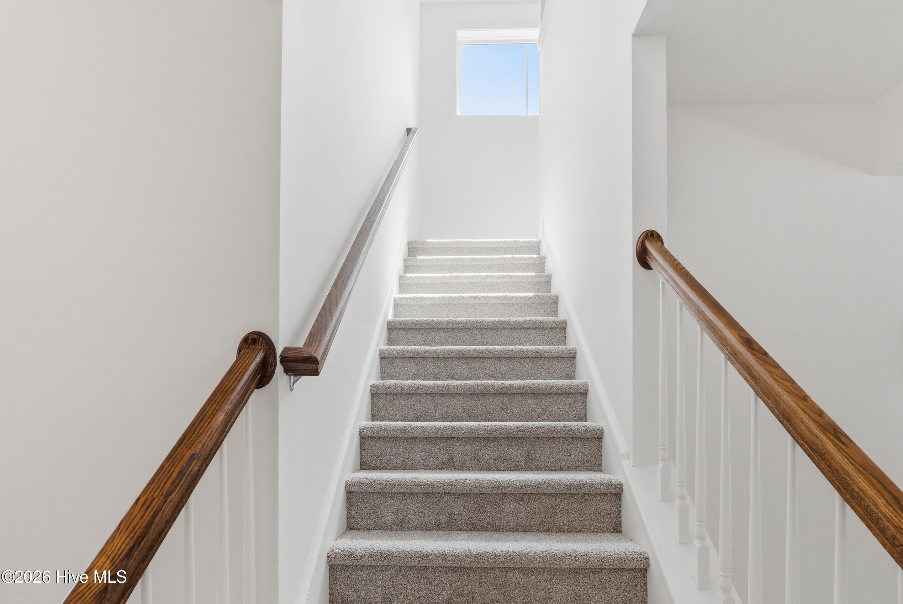 100563576 | Photo 23