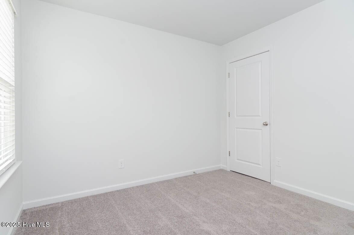 100546077 | Photo 21