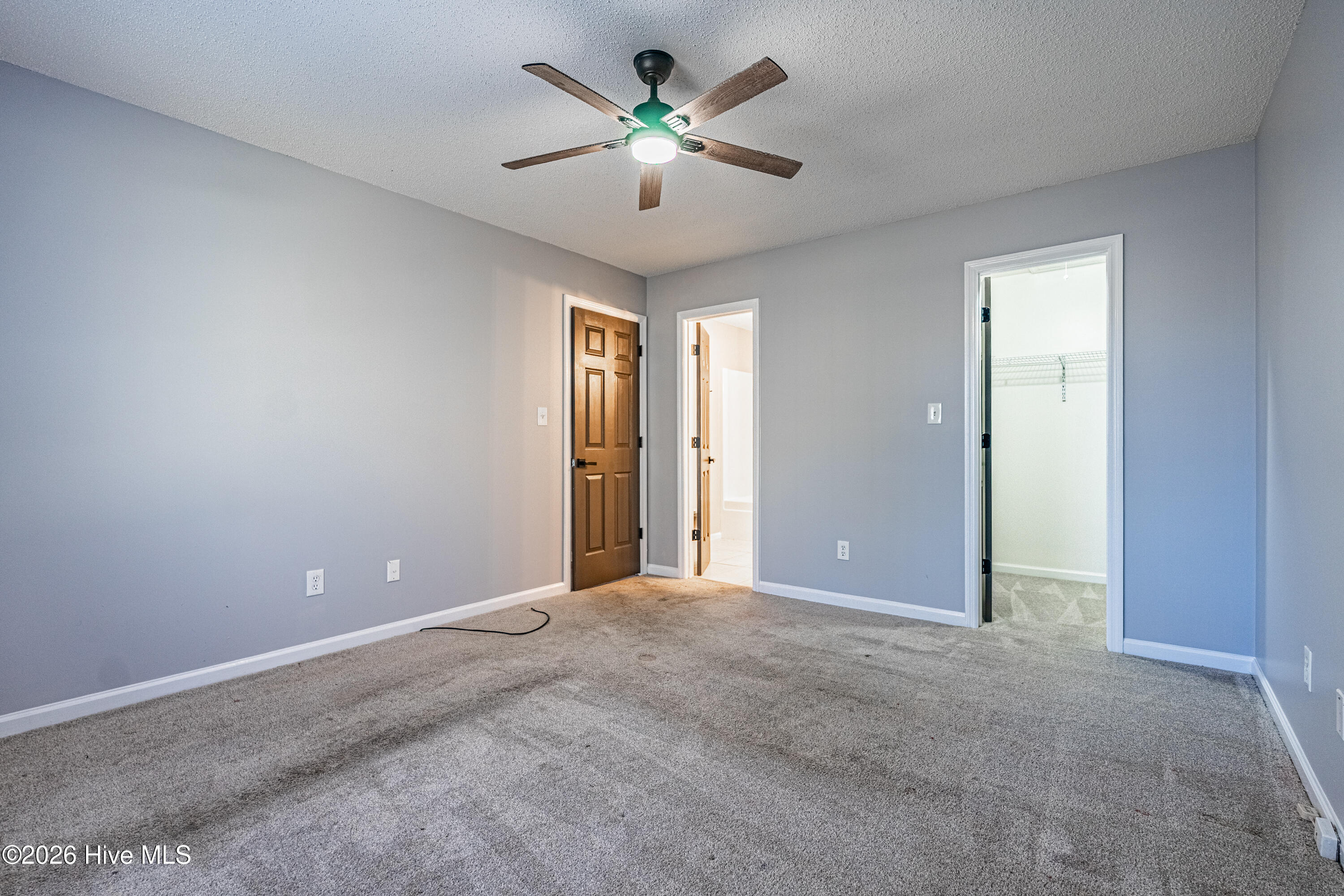 100557378 | Photo 39