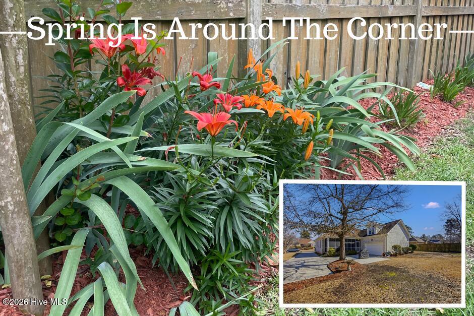 100554989 | Photo 38