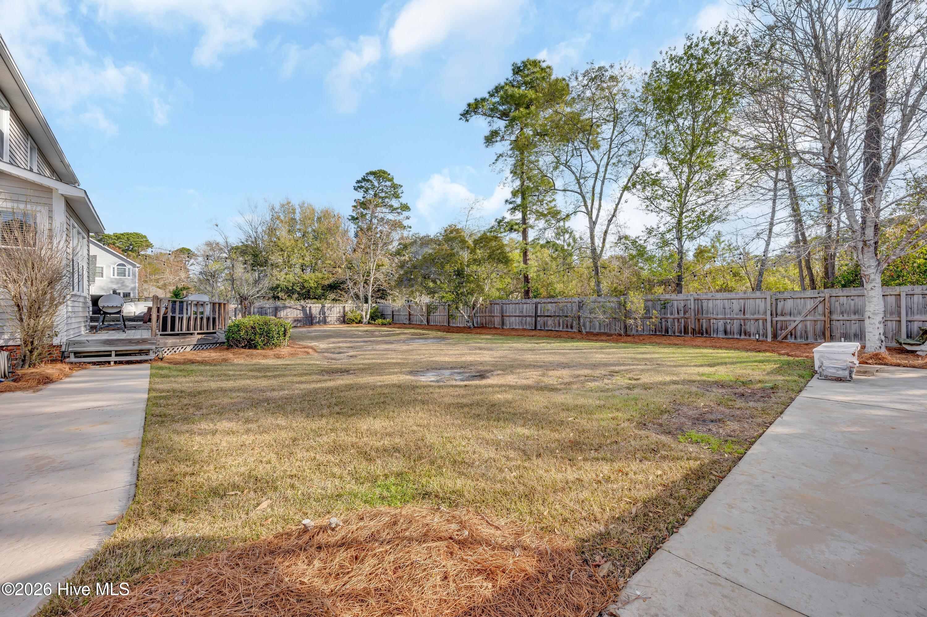 100561567 | Photo 28