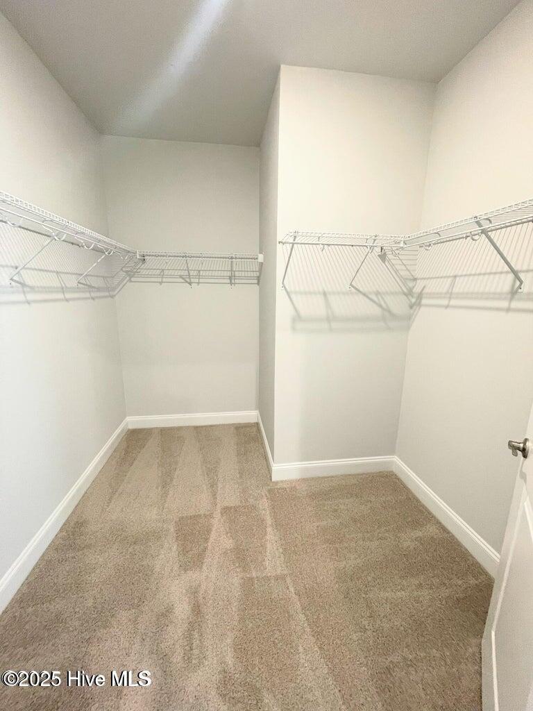 100527021 | Photo 49