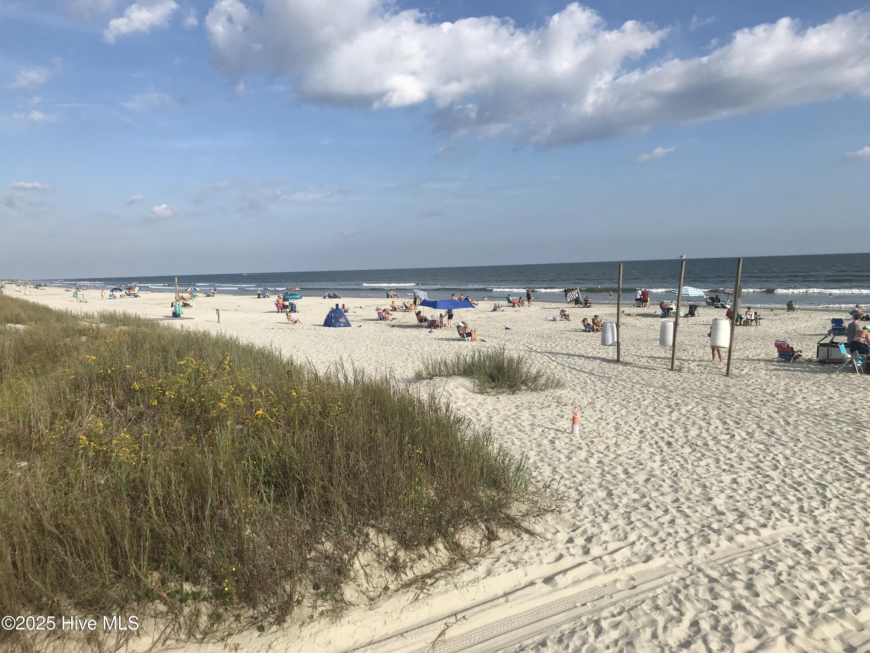 100541997 | Photo 58