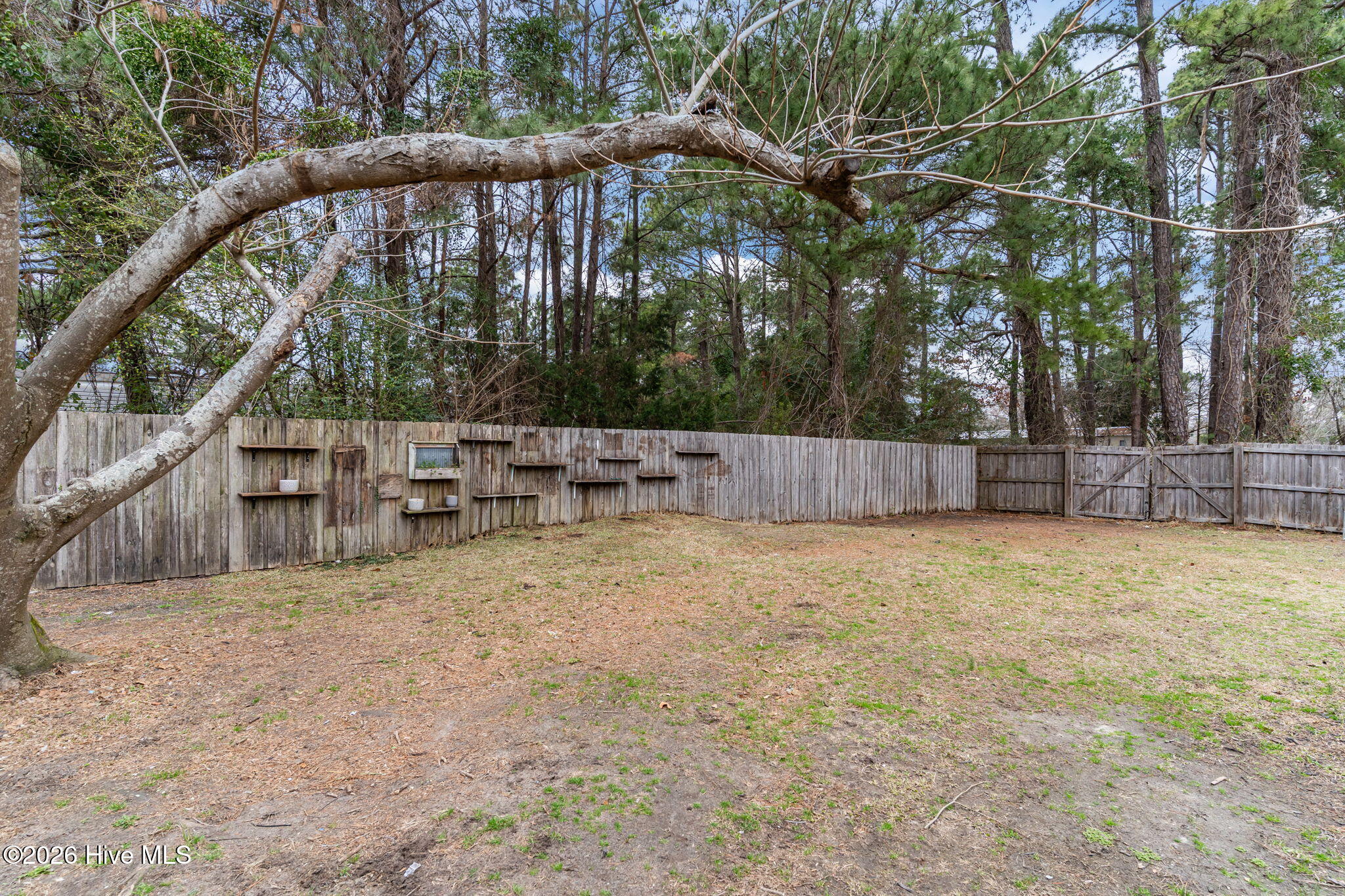 100557661 | Photo 39