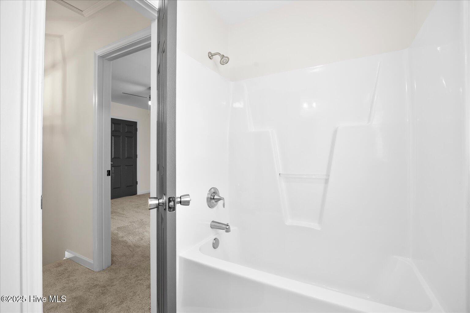 100522209 | Photo 24