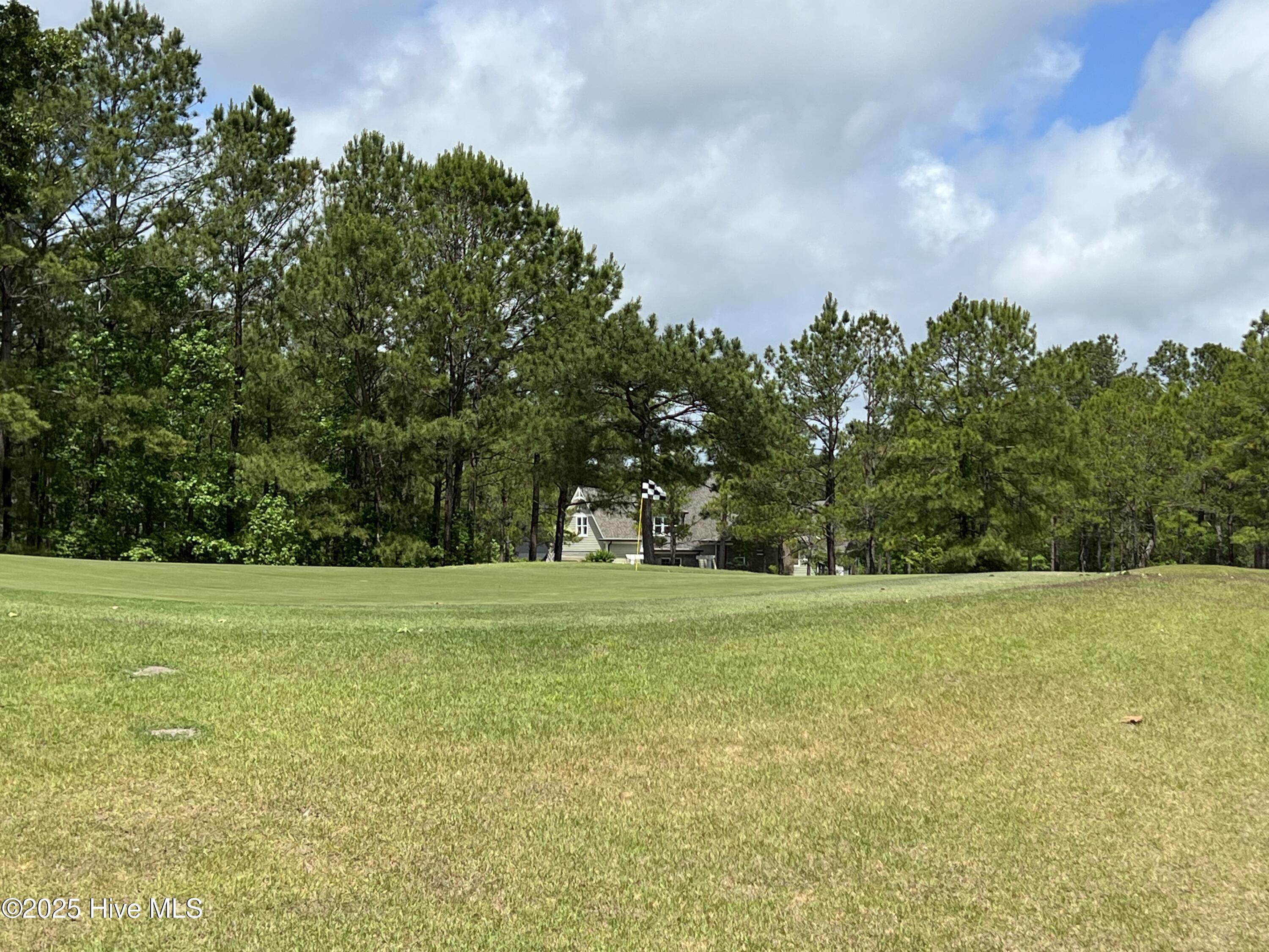 100509687 | Photo 32