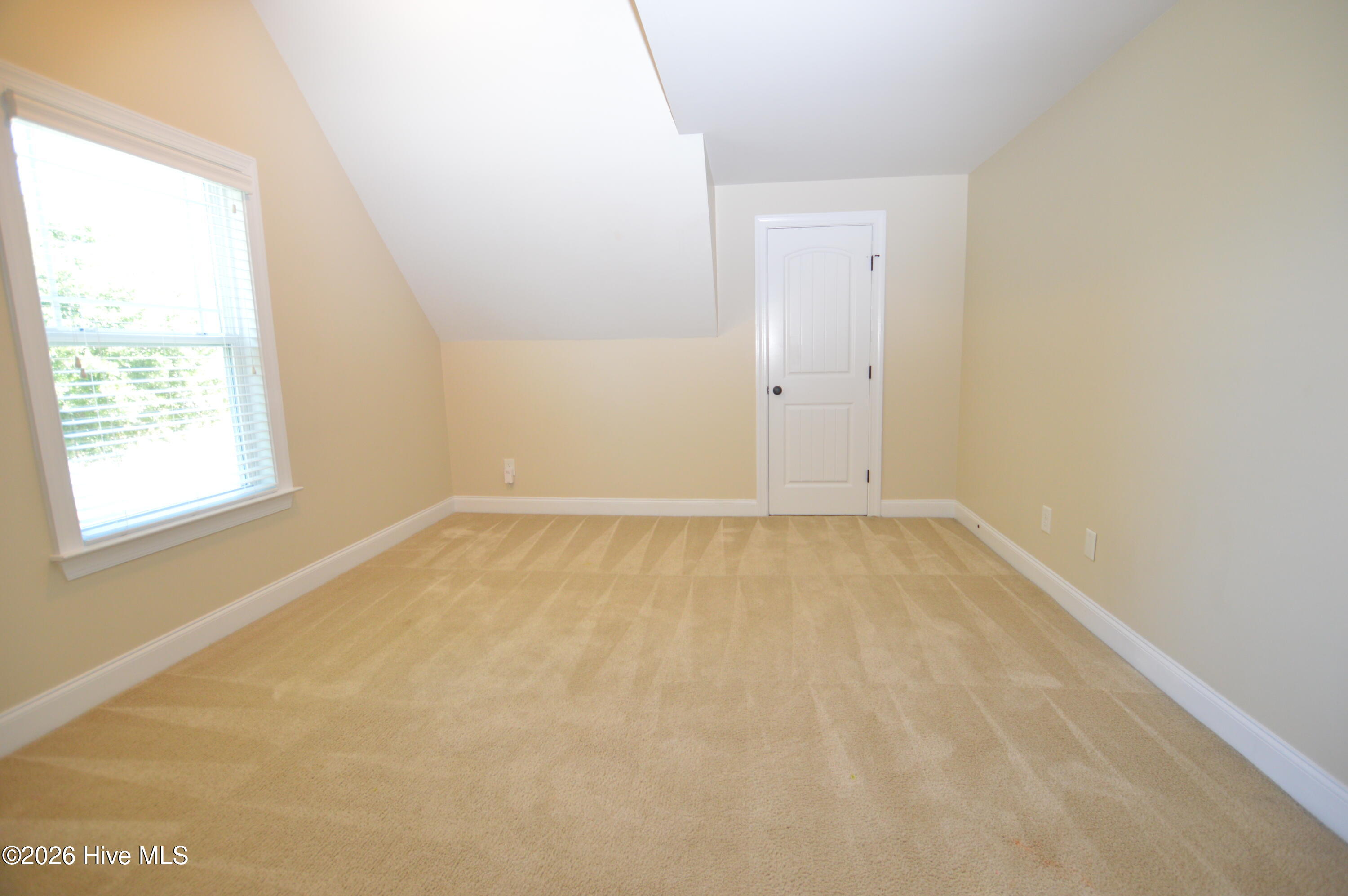 100568585 | Photo 23